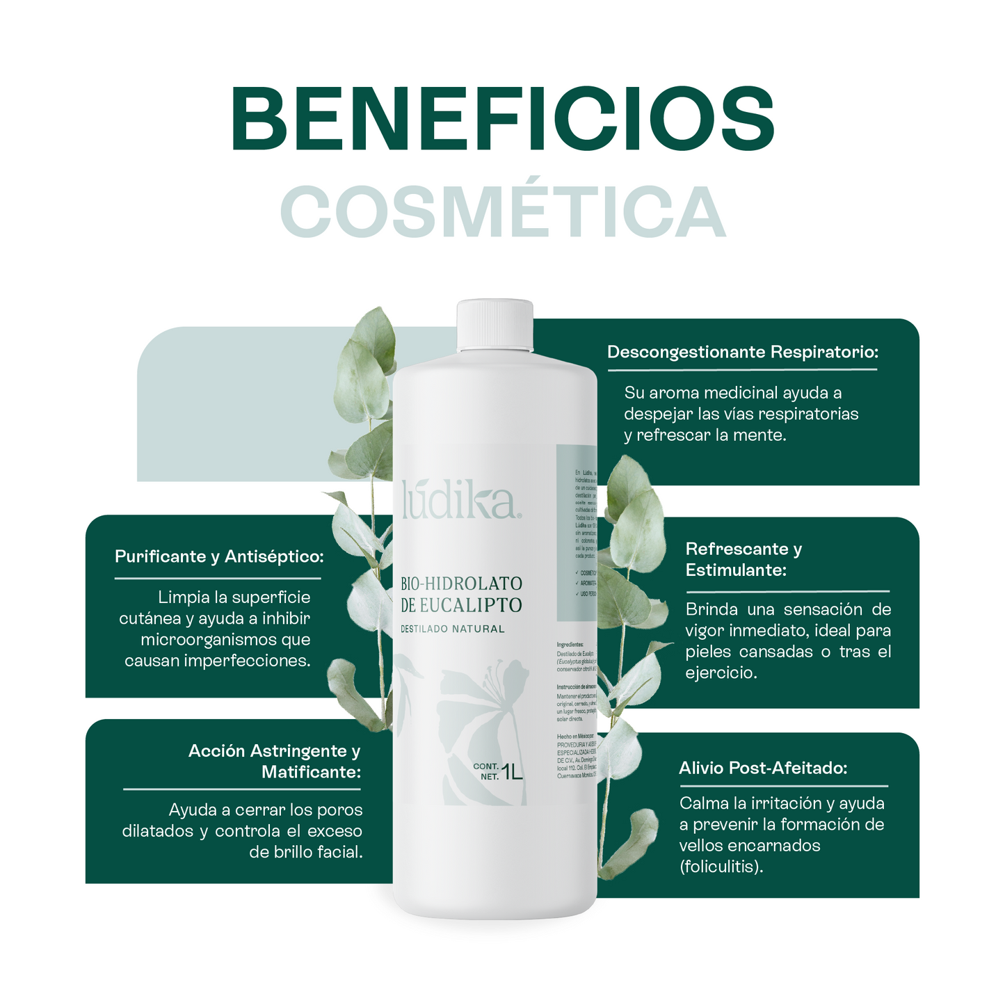 Hidrolato de Eucalipto | Facial y Corporal | Purificante, Astringente y Refrescante