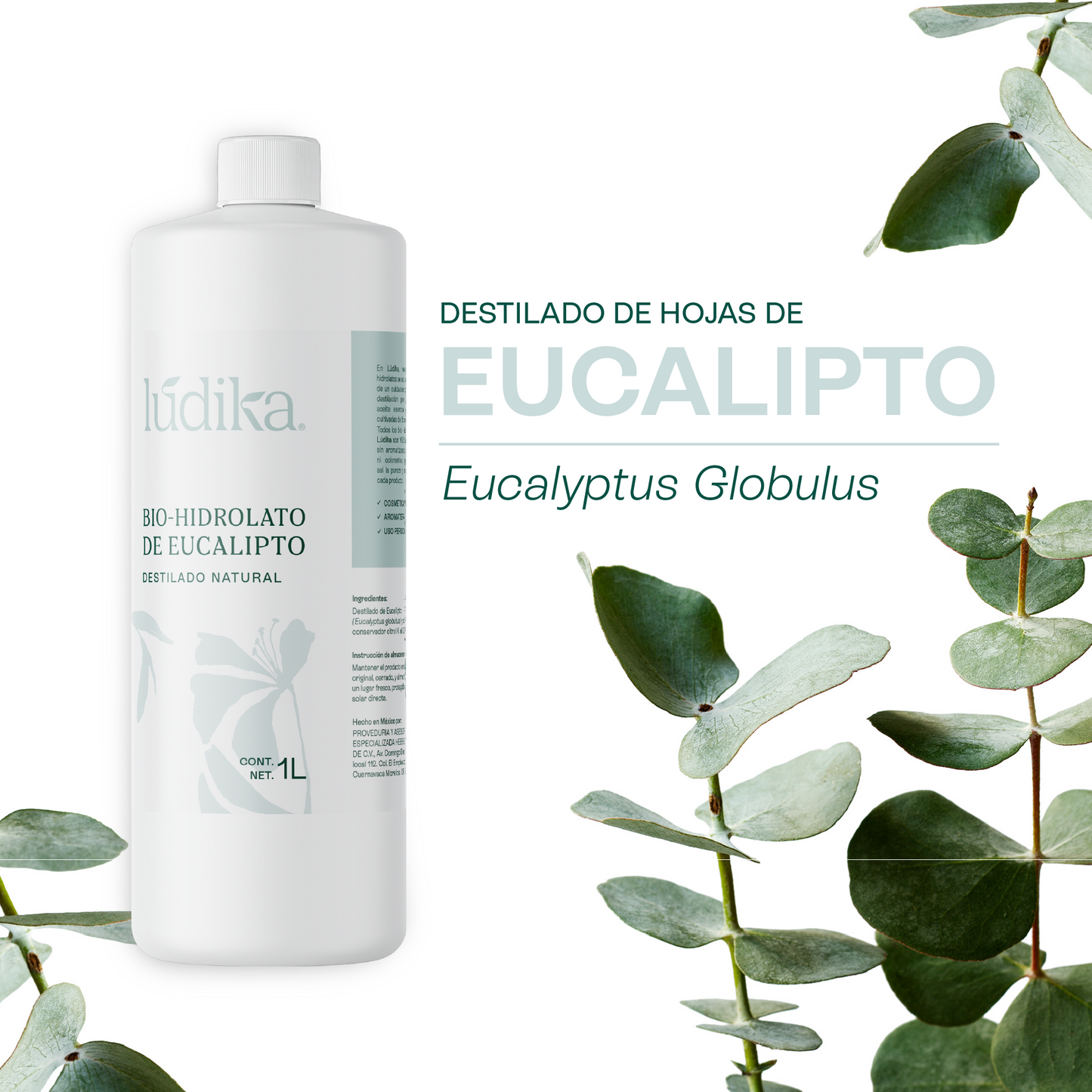 Hidrolato de Eucalipto | Facial y Corporal | Purificante, Astringente y Refrescante