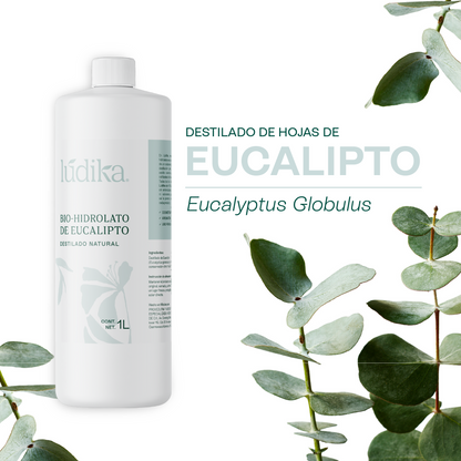 Hidrolato de Eucalipto | Facial y Corporal | Purificante, Astringente y Refrescante