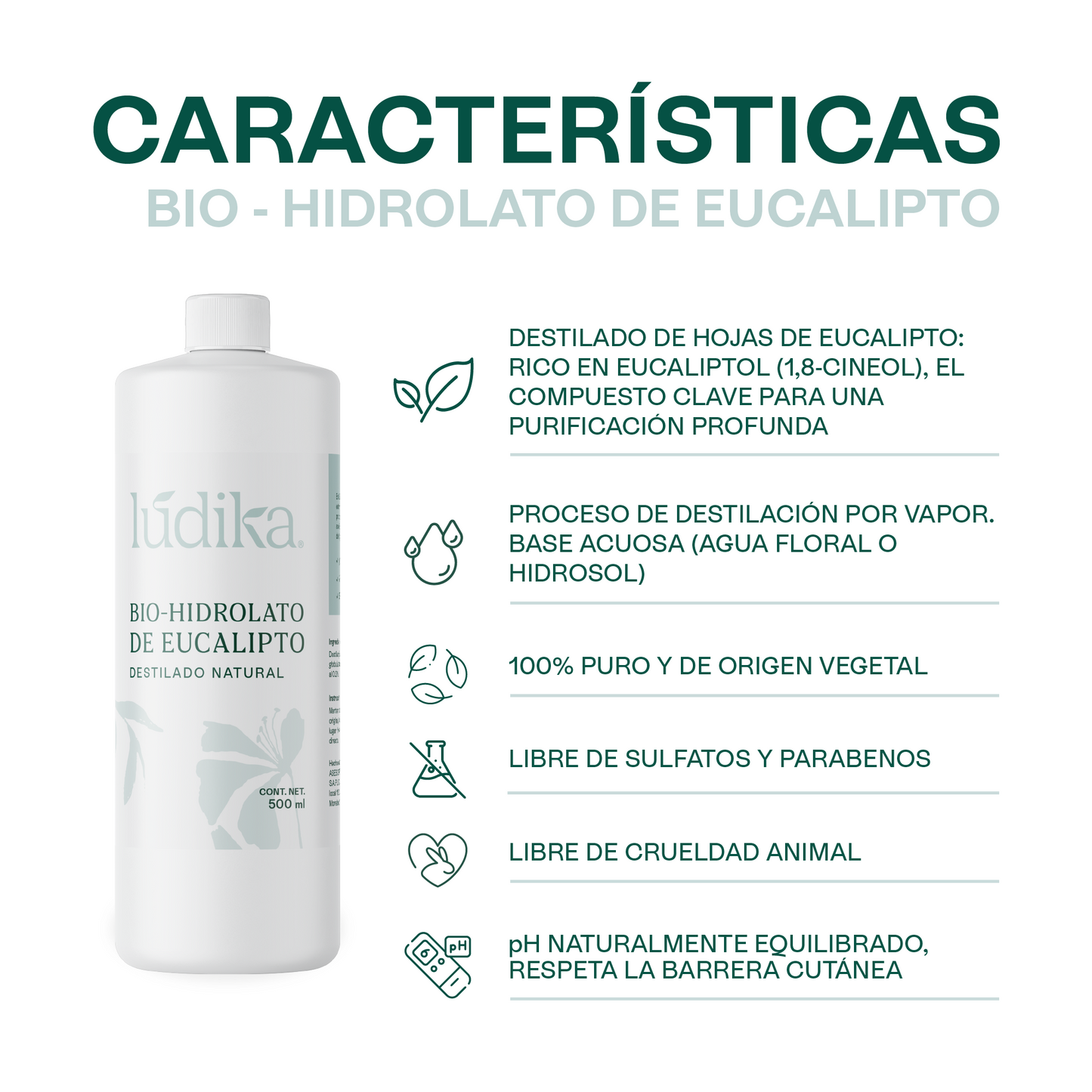 Hidrolato de Eucalipto | Facial y Corporal | Purificante, Astringente y Refrescante