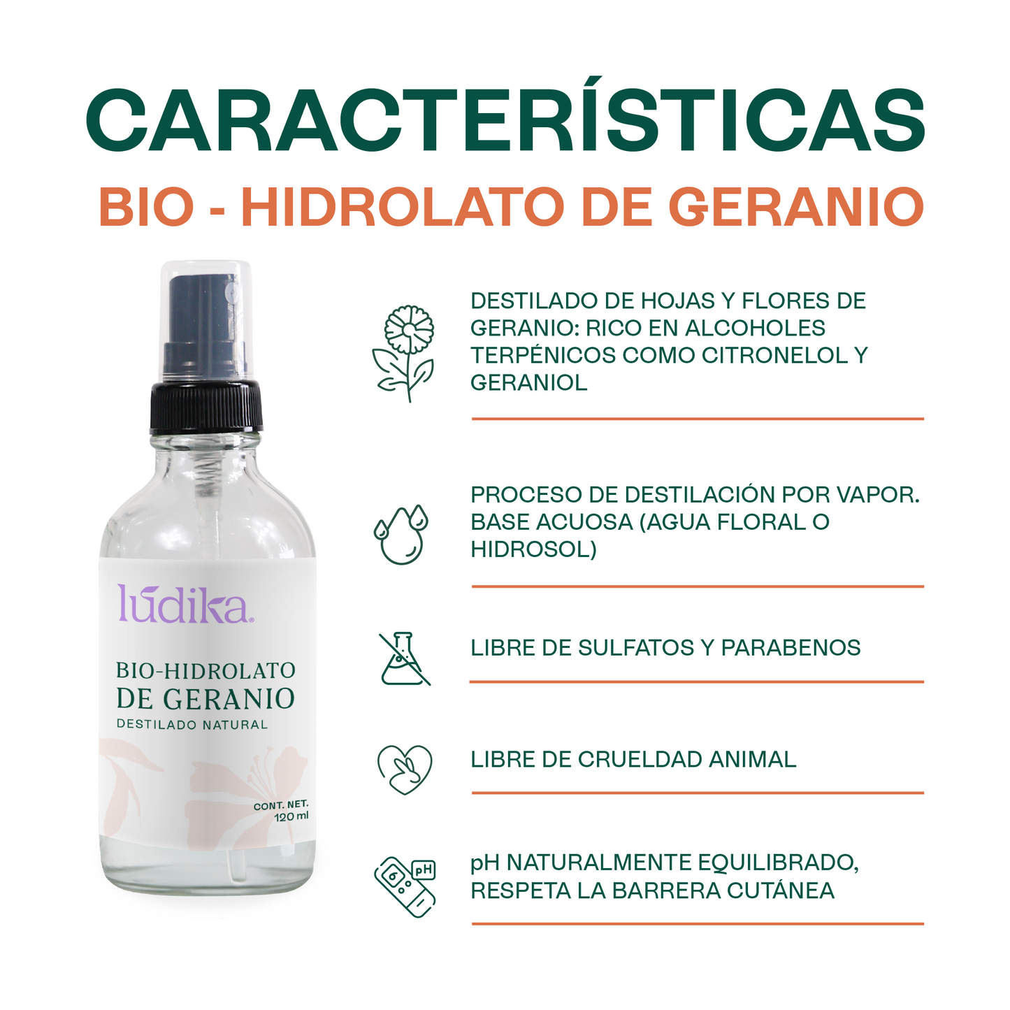 Bio Hidrolato de Geranio | Facial y Corporal | Reequilibrante, Regenerador y Tonificante