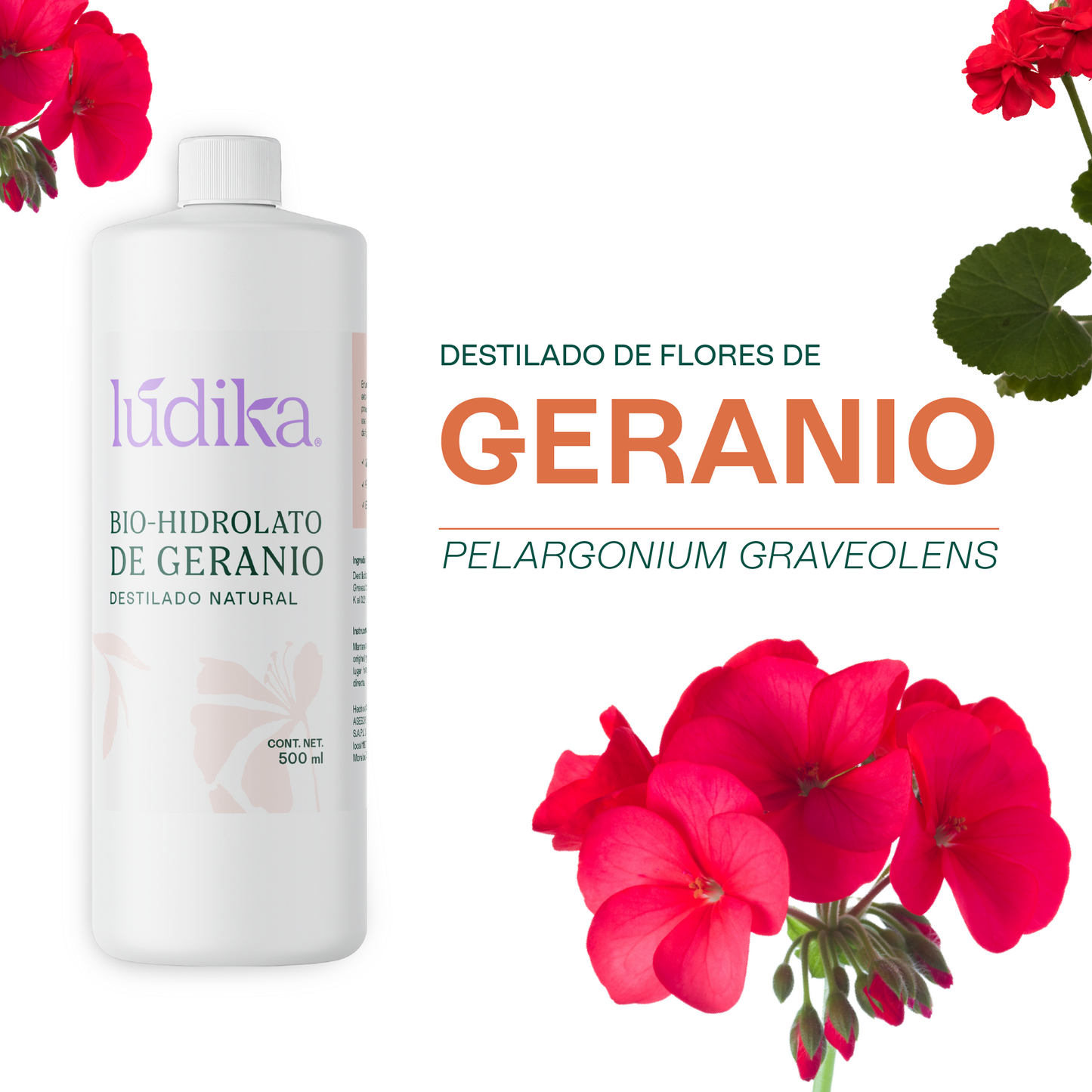 Bio Hidrolato de Geranio | Facial y Corporal | Reequilibrante, Regenerador y Tonificante