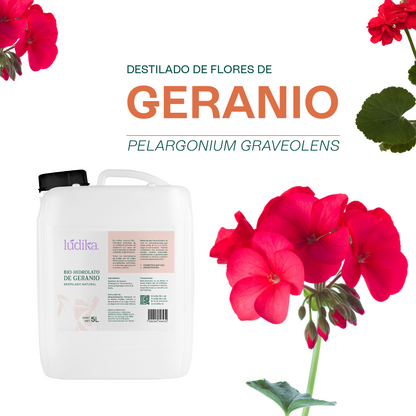 Bio Hidrolato de Geranio | Facial y Corporal | Reequilibrante, Regenerador y Tonificante