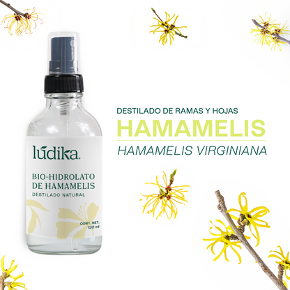 Hidrolato de Hamamelis | Facial y Corporal | Astringente, Purificante y Calmante