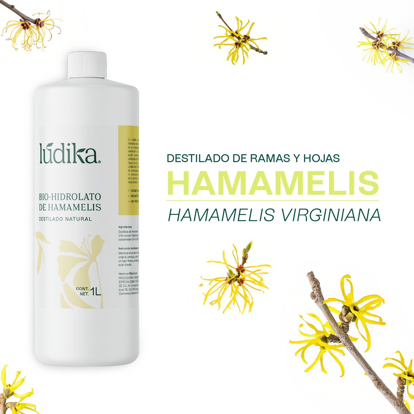 Hidrolato de Hamamelis | Facial y Corporal | Astringente, Purificante y Calmante