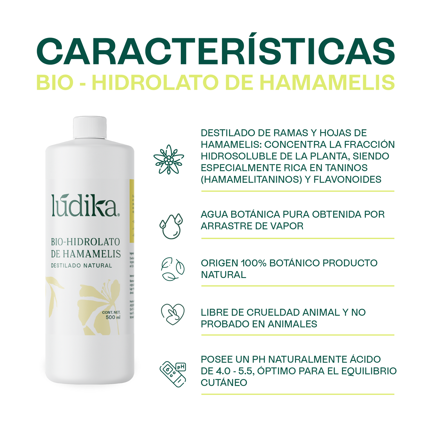 Hidrolato de Hamamelis | Facial y Corporal | Astringente, Purificante y Calmante