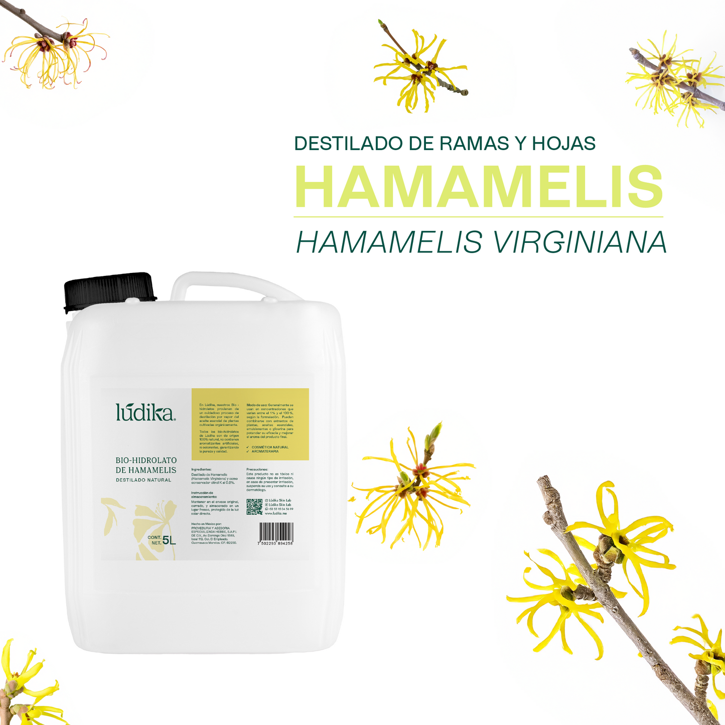 Hidrolato de Hamamelis | Facial y Corporal | Astringente, Purificante y Calmante