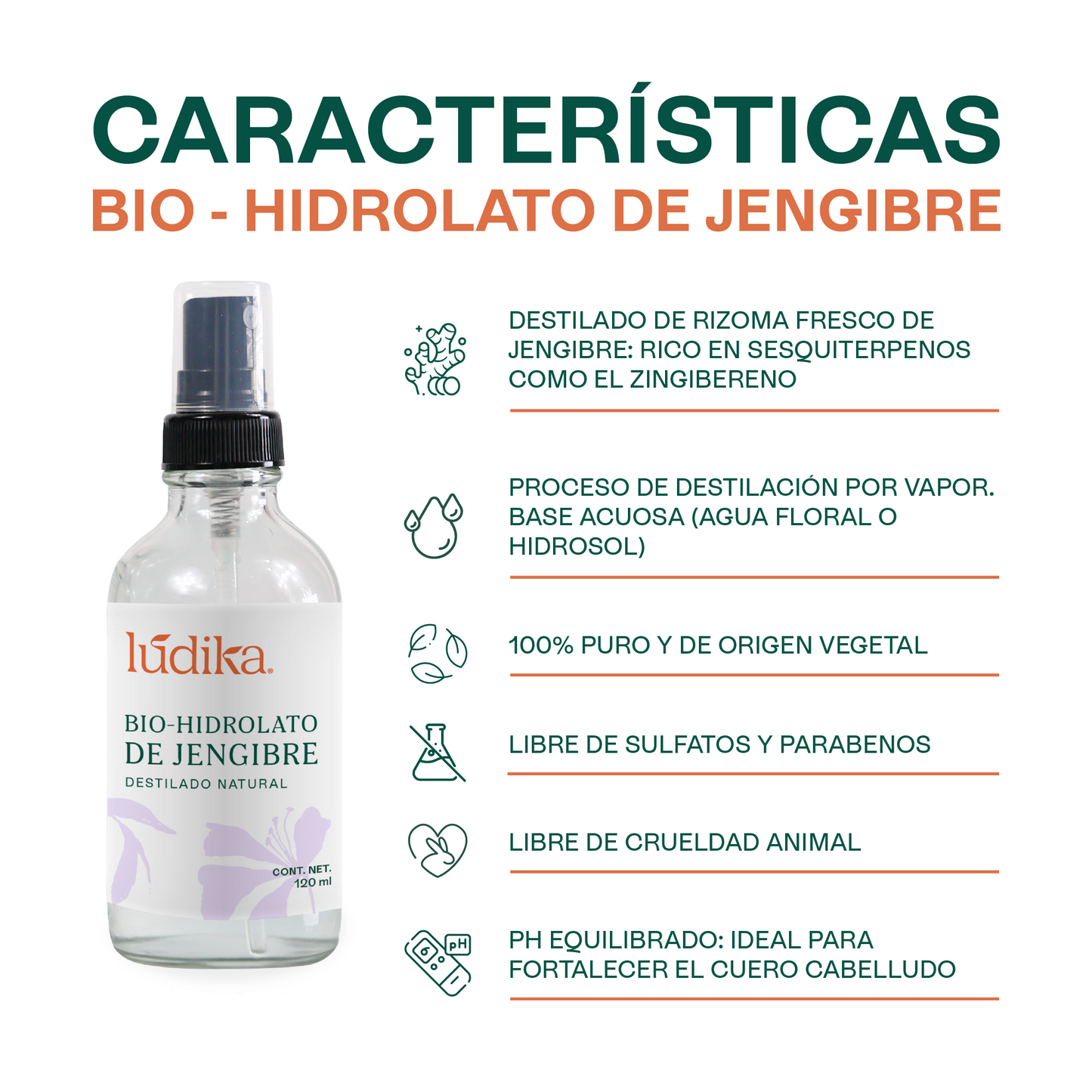 Bio Hidrolato de Jengibre | Facial y Corporal | Estimulante, Revitalizante y Tonificante