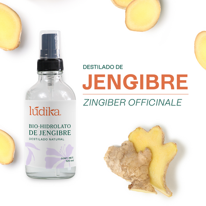 Bio Hidrolato de Jengibre | Facial y Corporal | Estimulante, Revitalizante y Tonificante