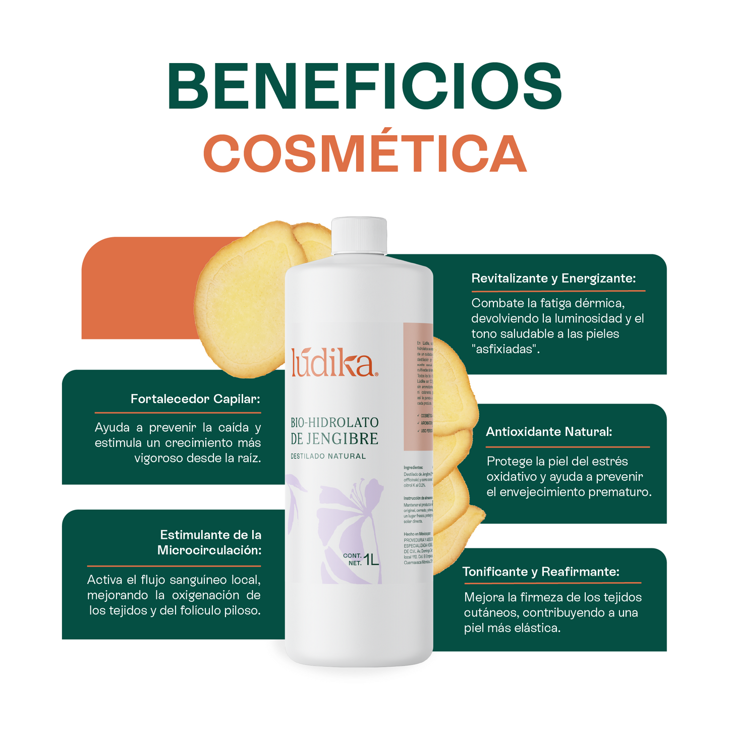 Bio Hidrolato de Jengibre | Facial y Corporal | Estimulante, Revitalizante y Tonificante