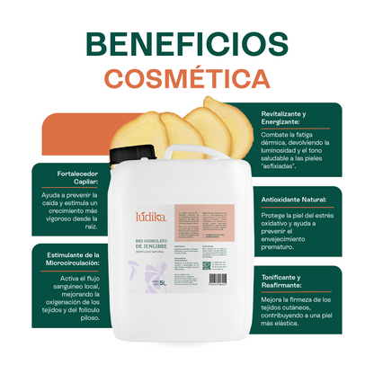 Bio Hidrolato de Jengibre | Facial y Corporal | Estimulante, Revitalizante y Tonificante