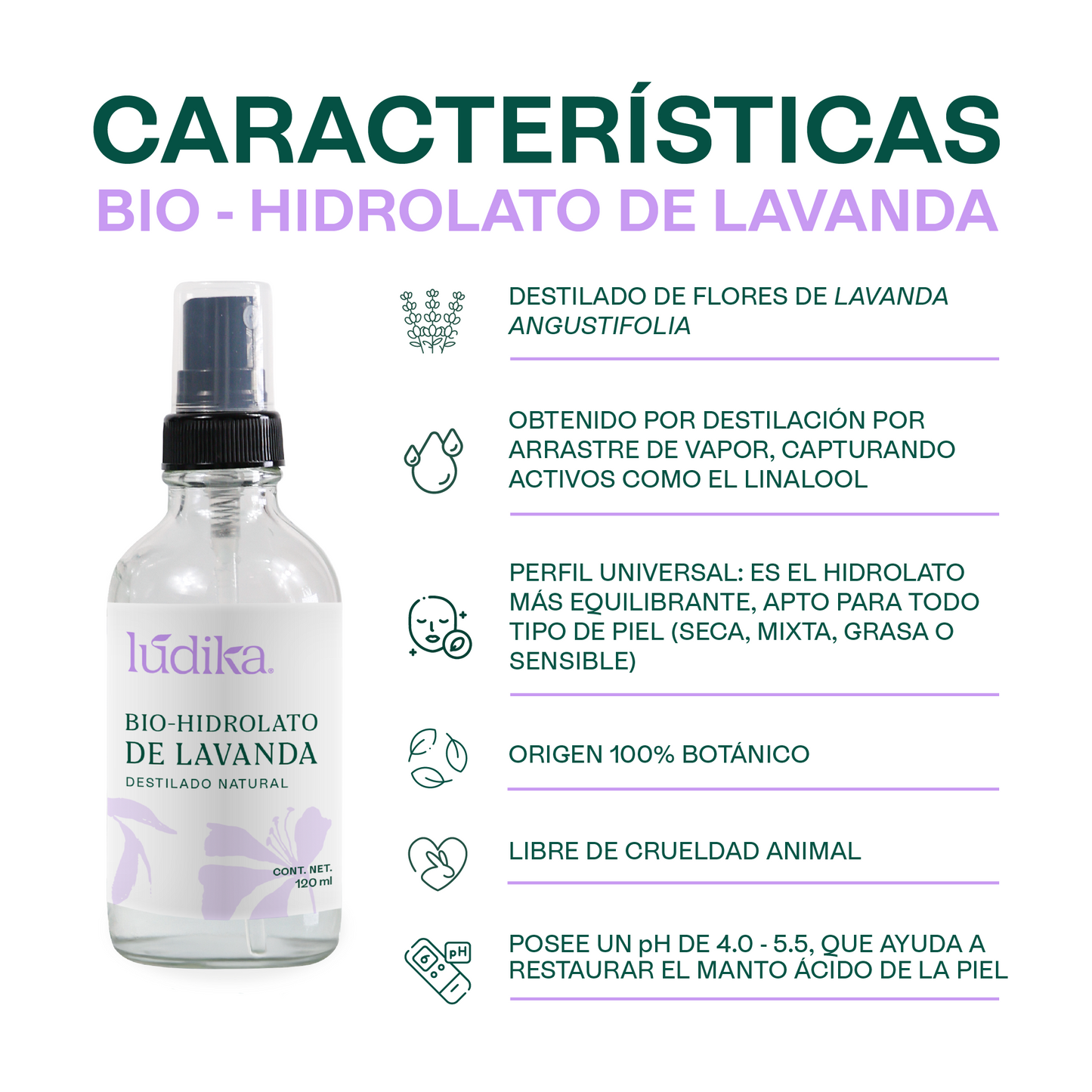 Bio Hidrolato de Lavanda | Facial y Corporal | Calmante, Equilibrante y Regenerador