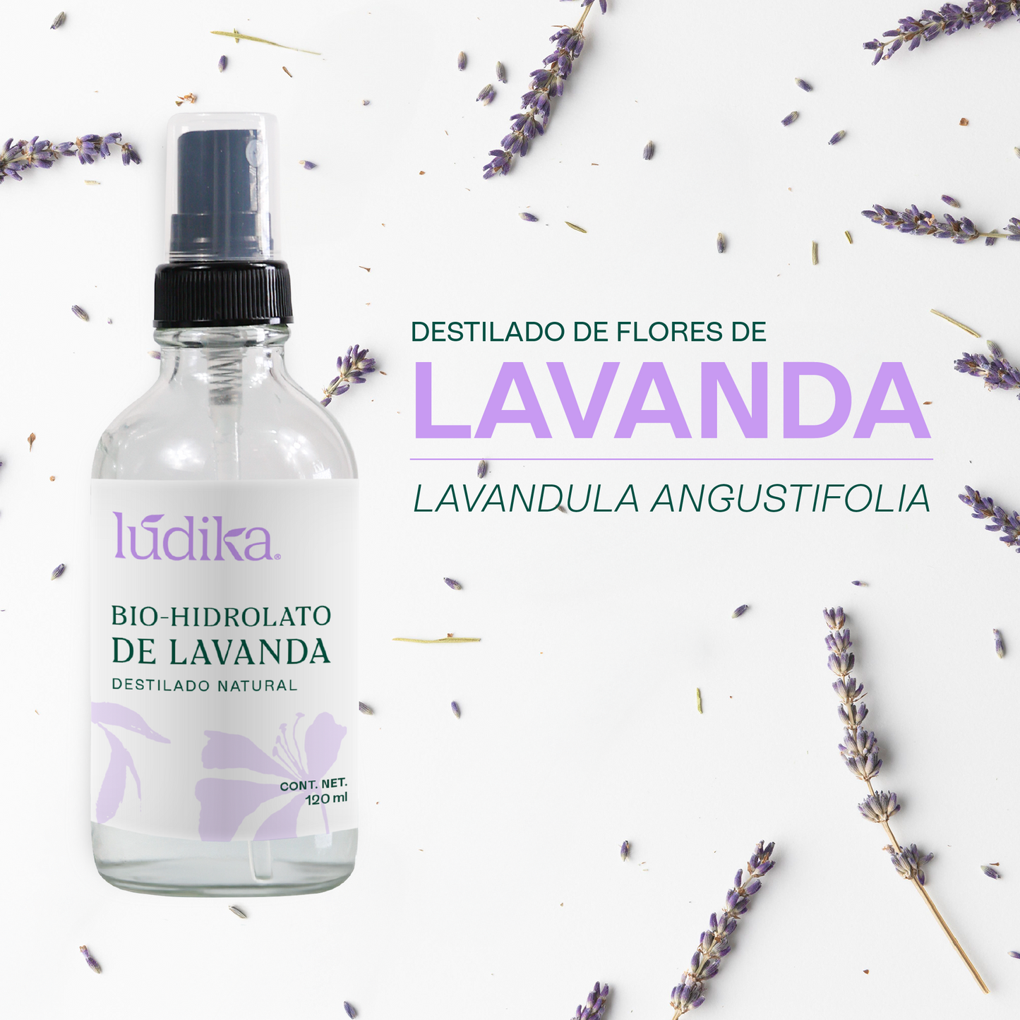 Bio Hidrolato de Lavanda | Facial y Corporal | Calmante, Equilibrante y Regenerador