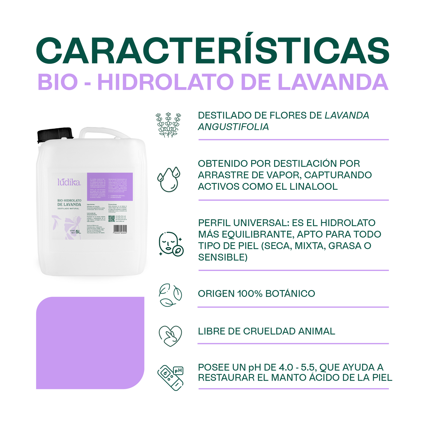 Bio Hidrolato de Lavanda | Facial y Corporal | Calmante, Equilibrante y Regenerador