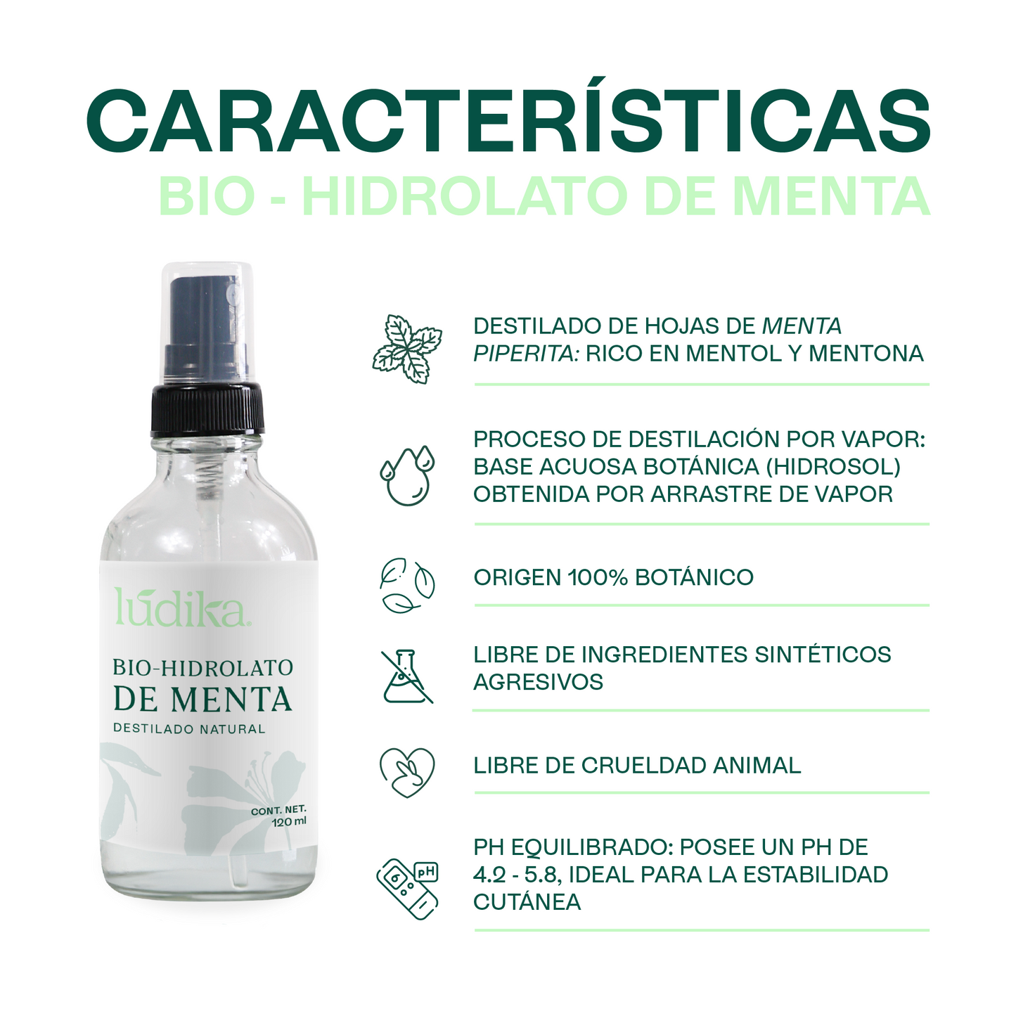 Bio Hidrolato de Menta | Facial y Corporal | Refrescante, Astringente y Purificante