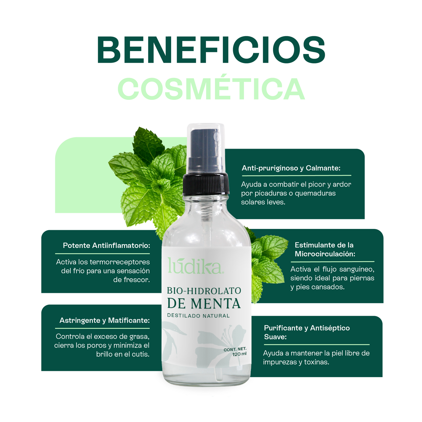 Bio Hidrolato de Menta | Facial y Corporal | Refrescante, Astringente y Purificante