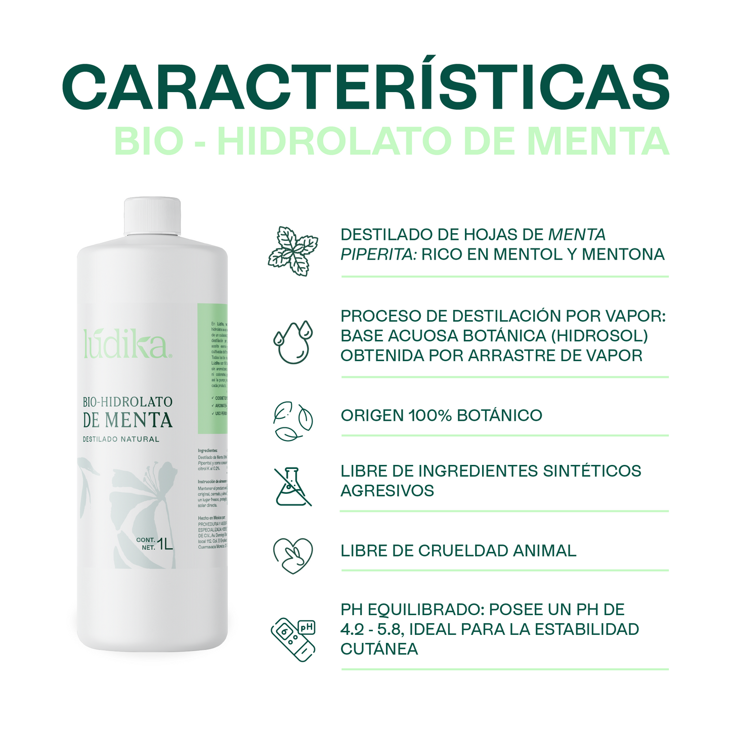 Bio Hidrolato de Menta | Facial y Corporal | Refrescante, Astringente y Purificante