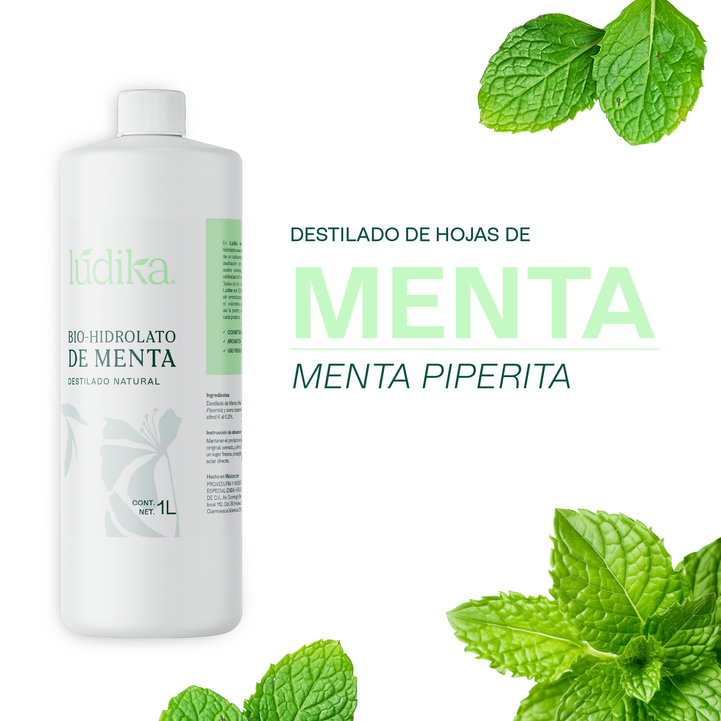 Bio Hidrolato de Menta | Facial y Corporal | Refrescante, Astringente y Purificante