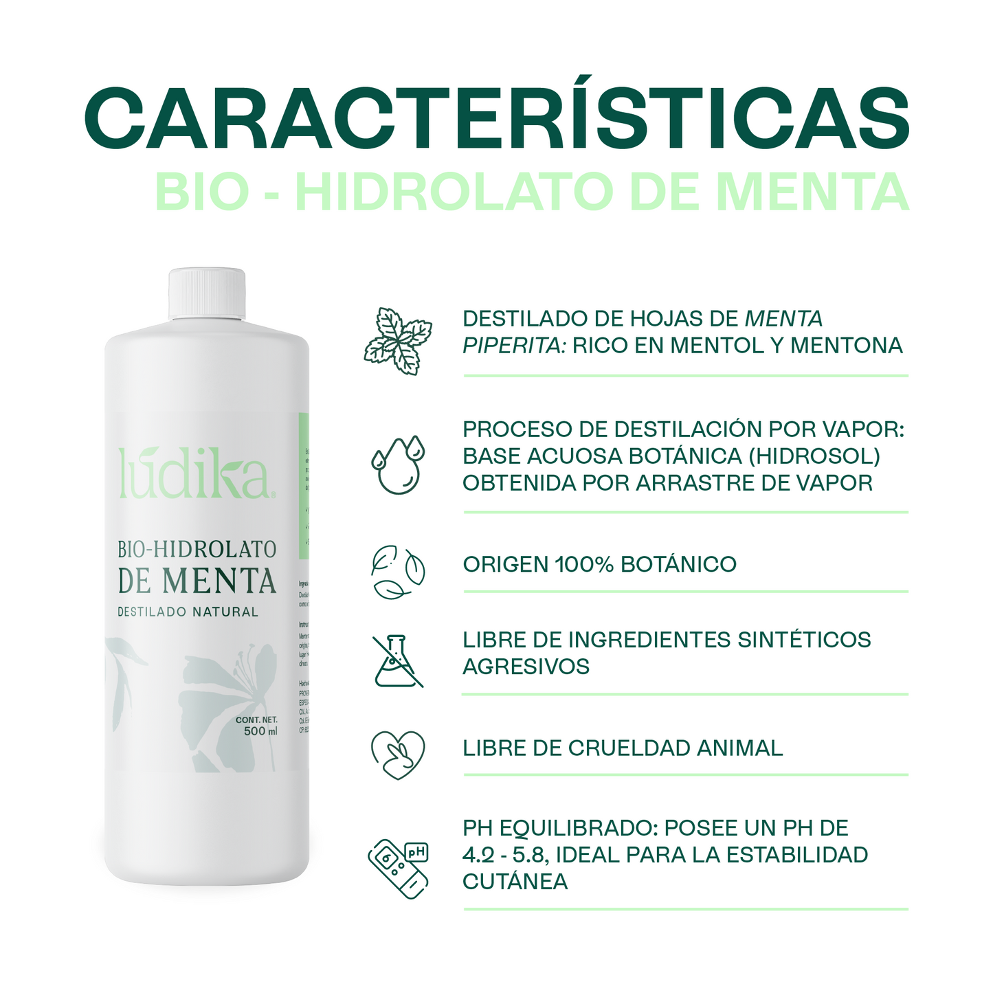 Bio Hidrolato de Menta | Facial y Corporal | Refrescante, Astringente y Purificante