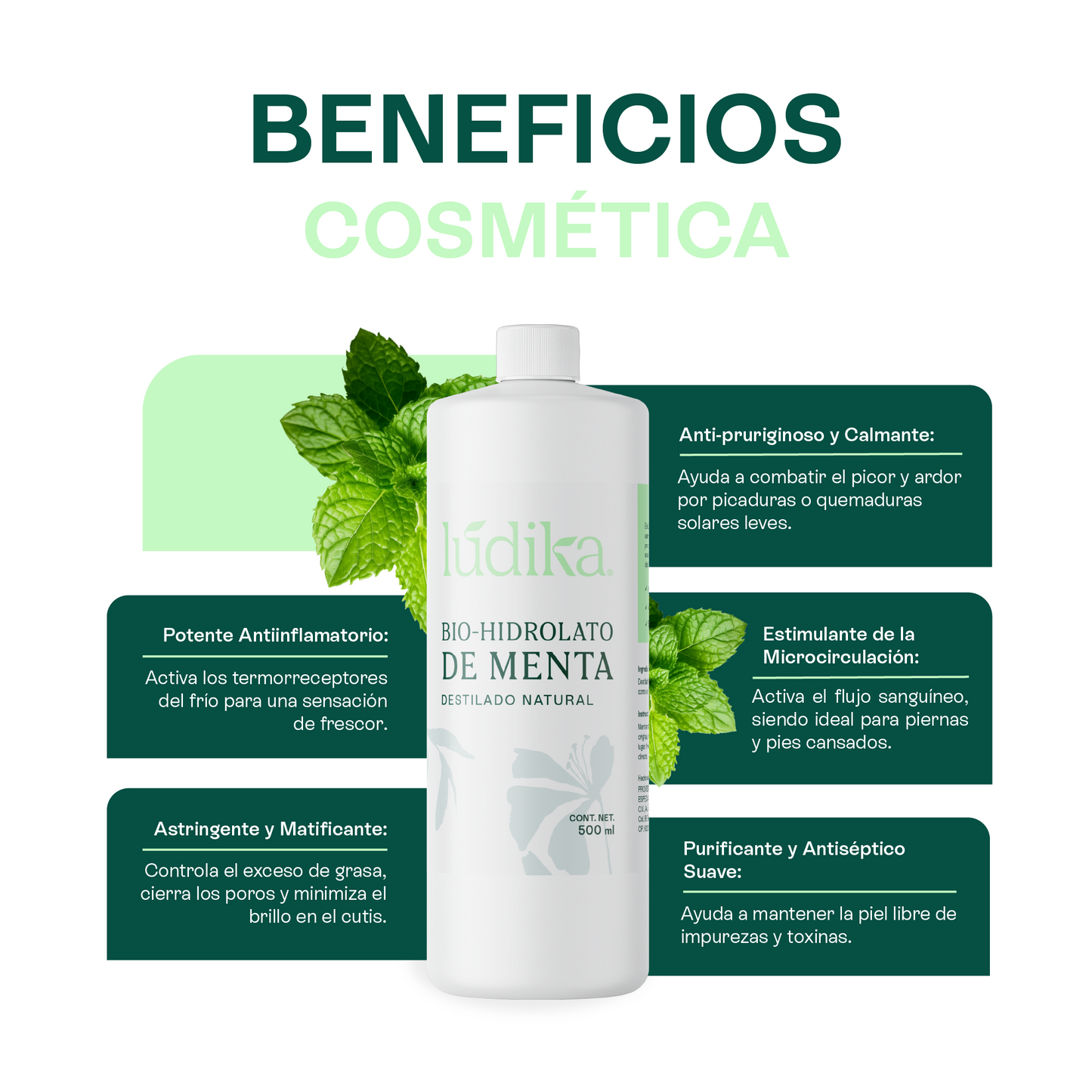 Bio Hidrolato de Menta | Facial y Corporal | Refrescante, Astringente y Purificante