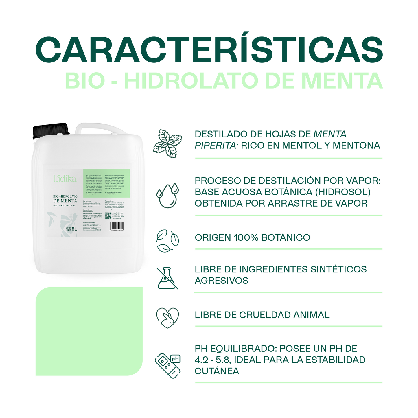 Bio Hidrolato de Menta | Facial y Corporal | Refrescante, Astringente y Purificante