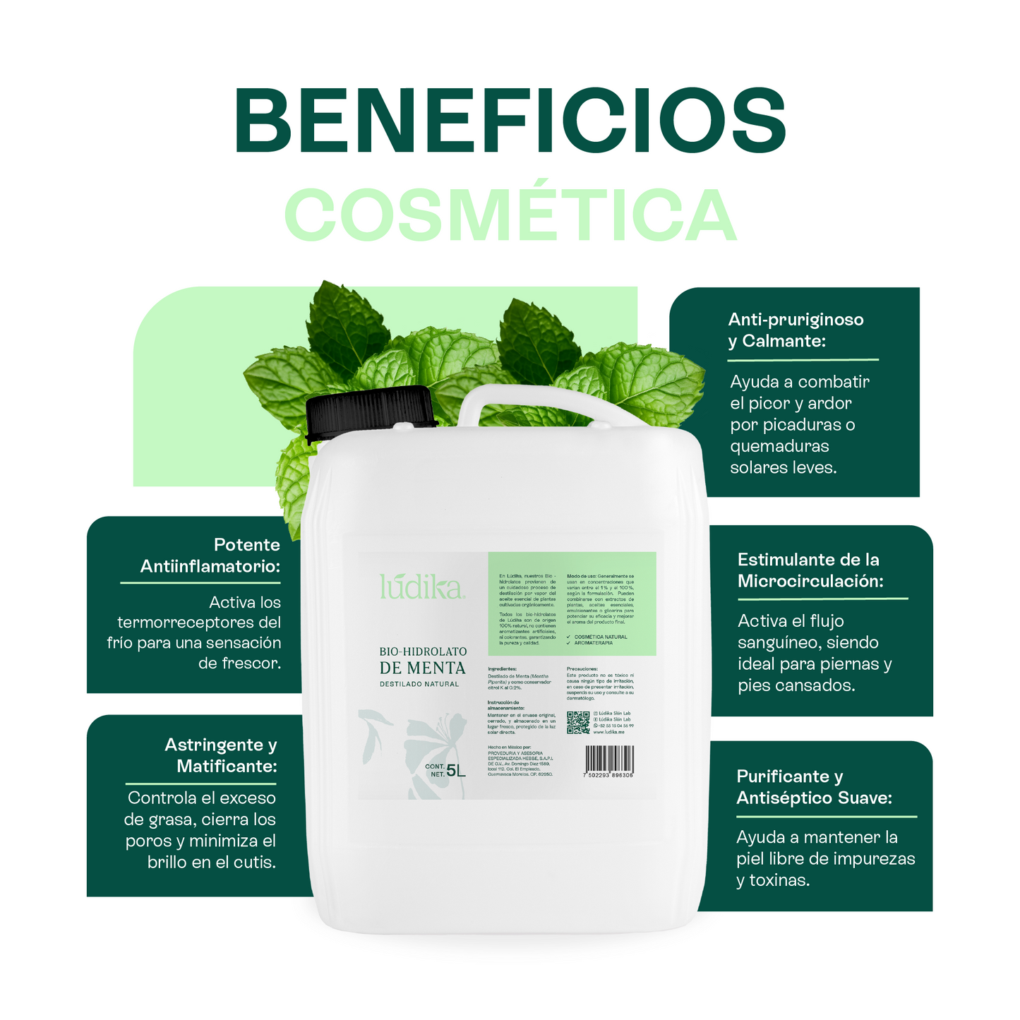 Bio Hidrolato de Menta | Facial y Corporal | Refrescante, Astringente y Purificante