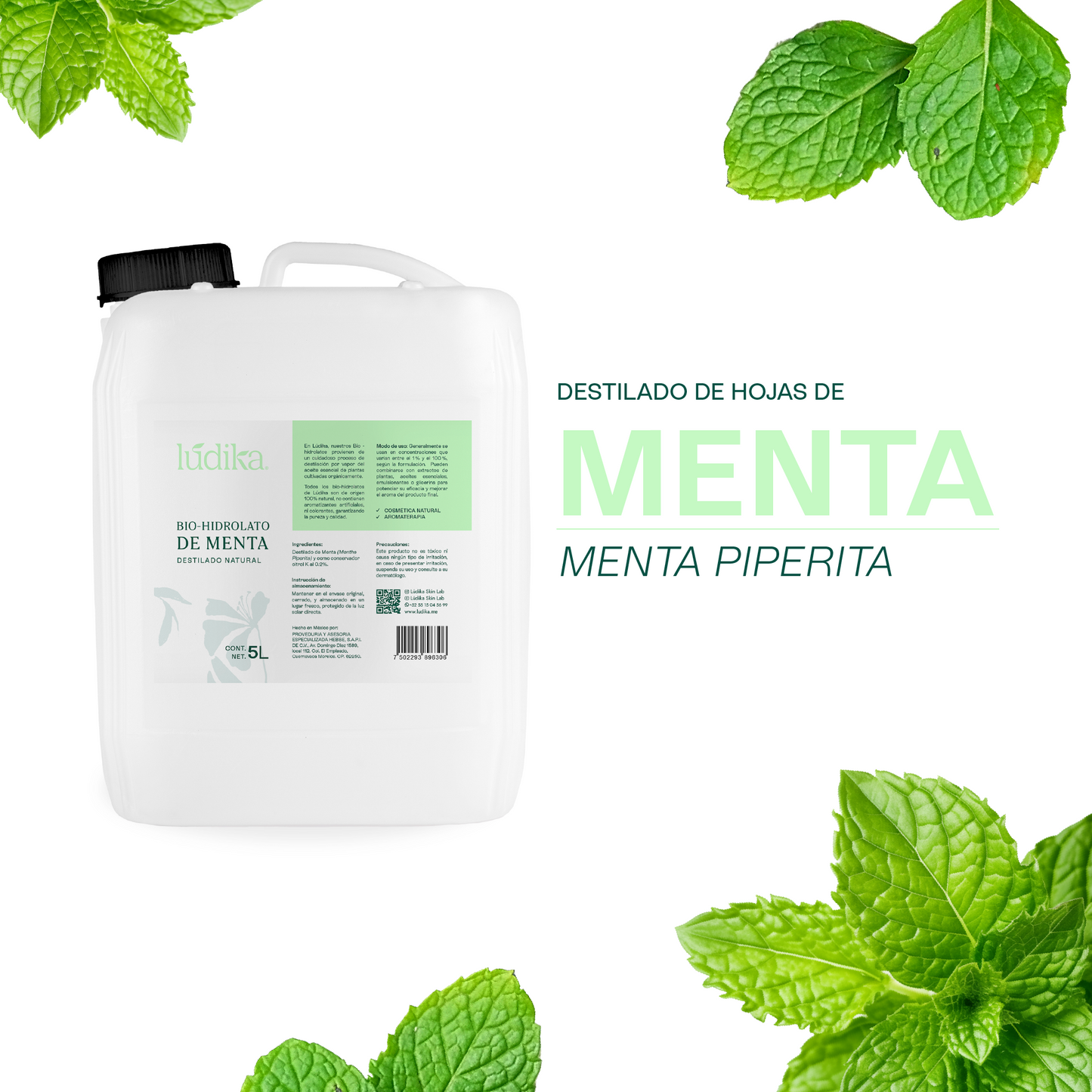 Bio Hidrolato de Menta | Facial y Corporal | Refrescante, Astringente y Purificante