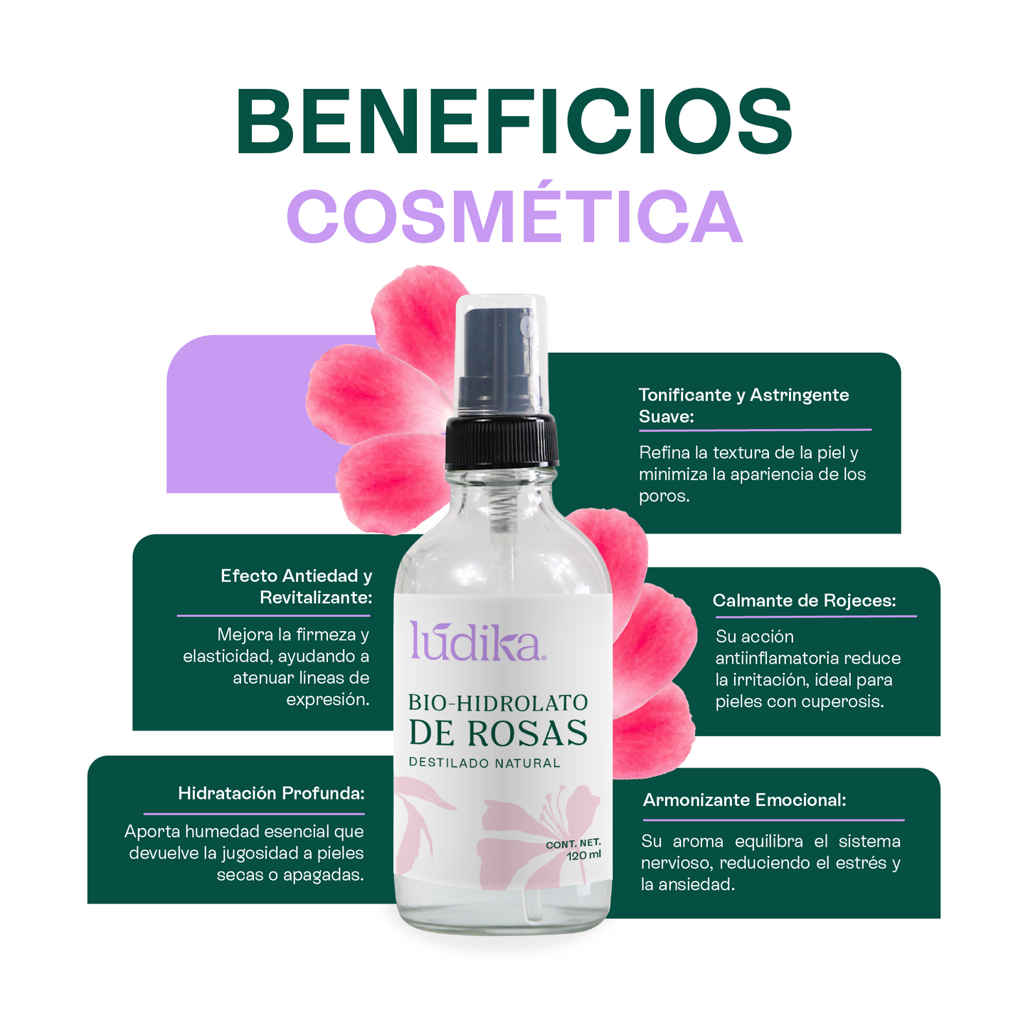 Bio Hidrolato de Rosa Damascena | Facial y Corporal | Antiedad, Calmante y Regenerador