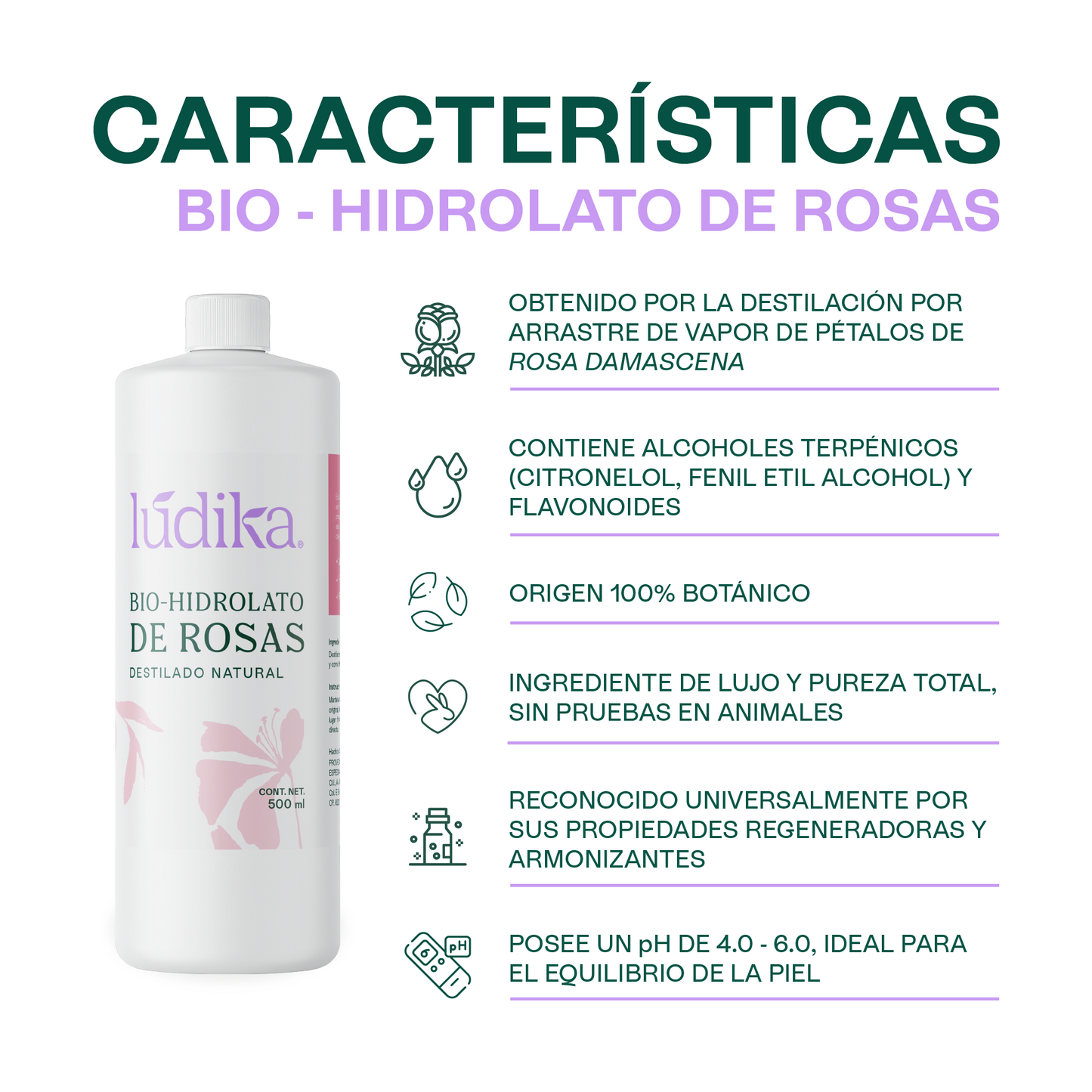 Bio Hidrolato de Rosa Damascena | Facial y Corporal | Antiedad, Calmante y Regenerador