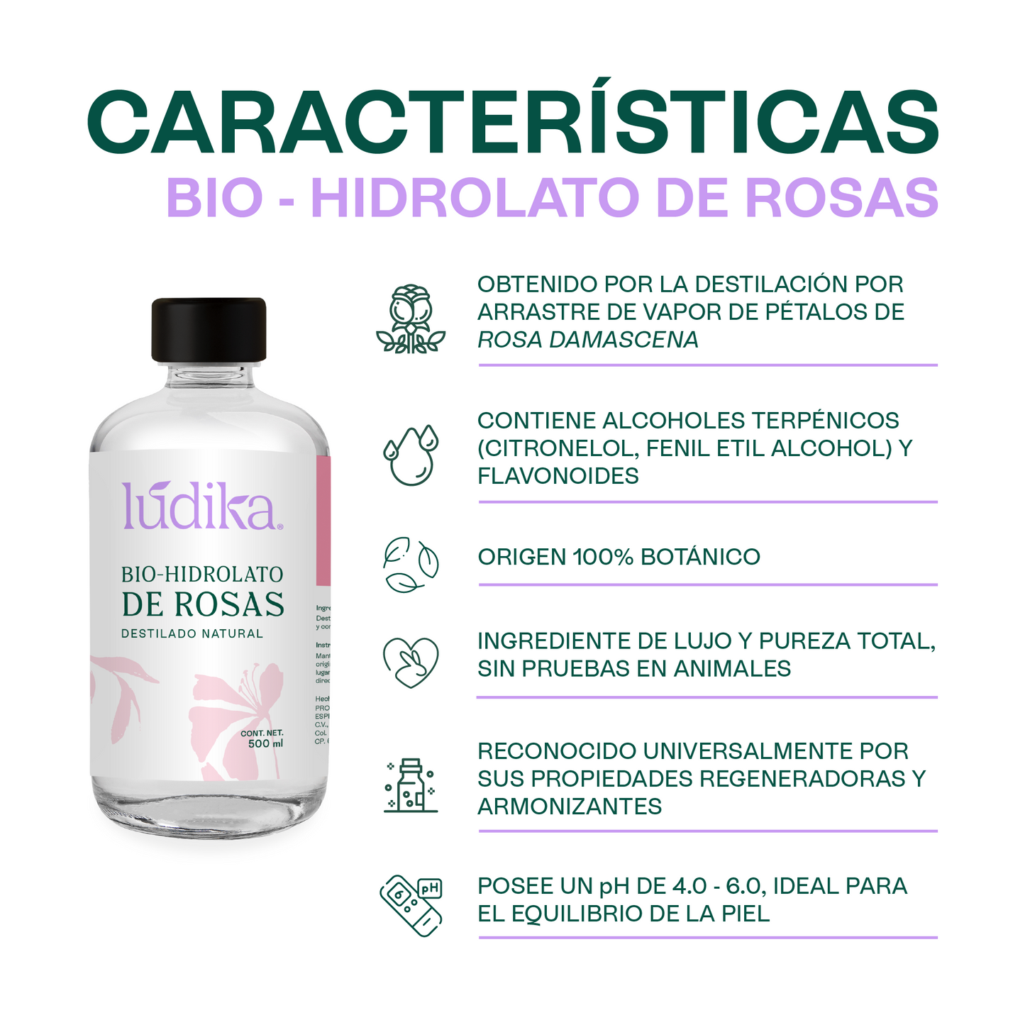 Bio Hidrolato de Rosas Damascena | Envase de vidrio | Facial | Antiedad, Calmante