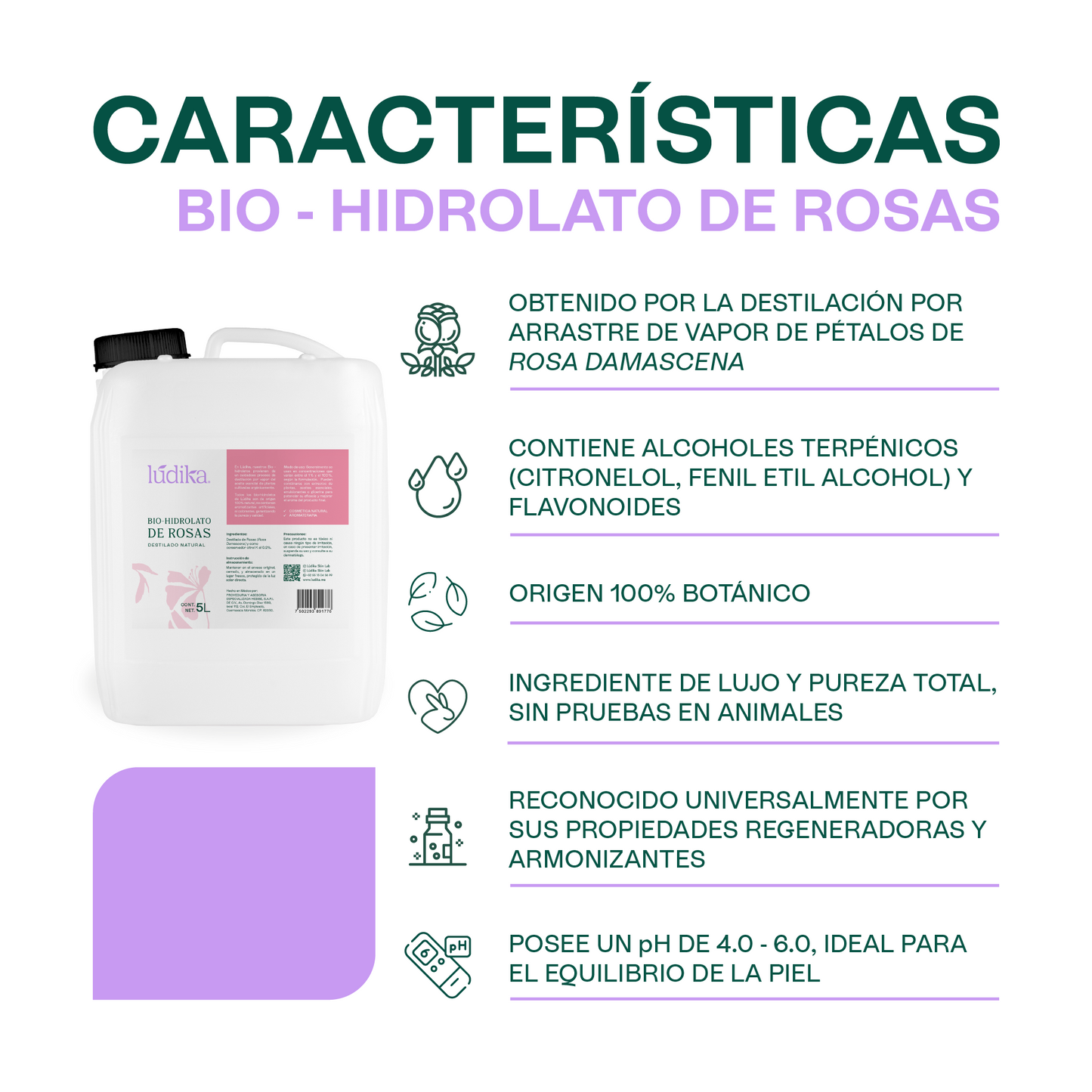 Bio Hidrolato de Rosa Damascena | Facial y Corporal | Antiedad, Calmante y Regenerador