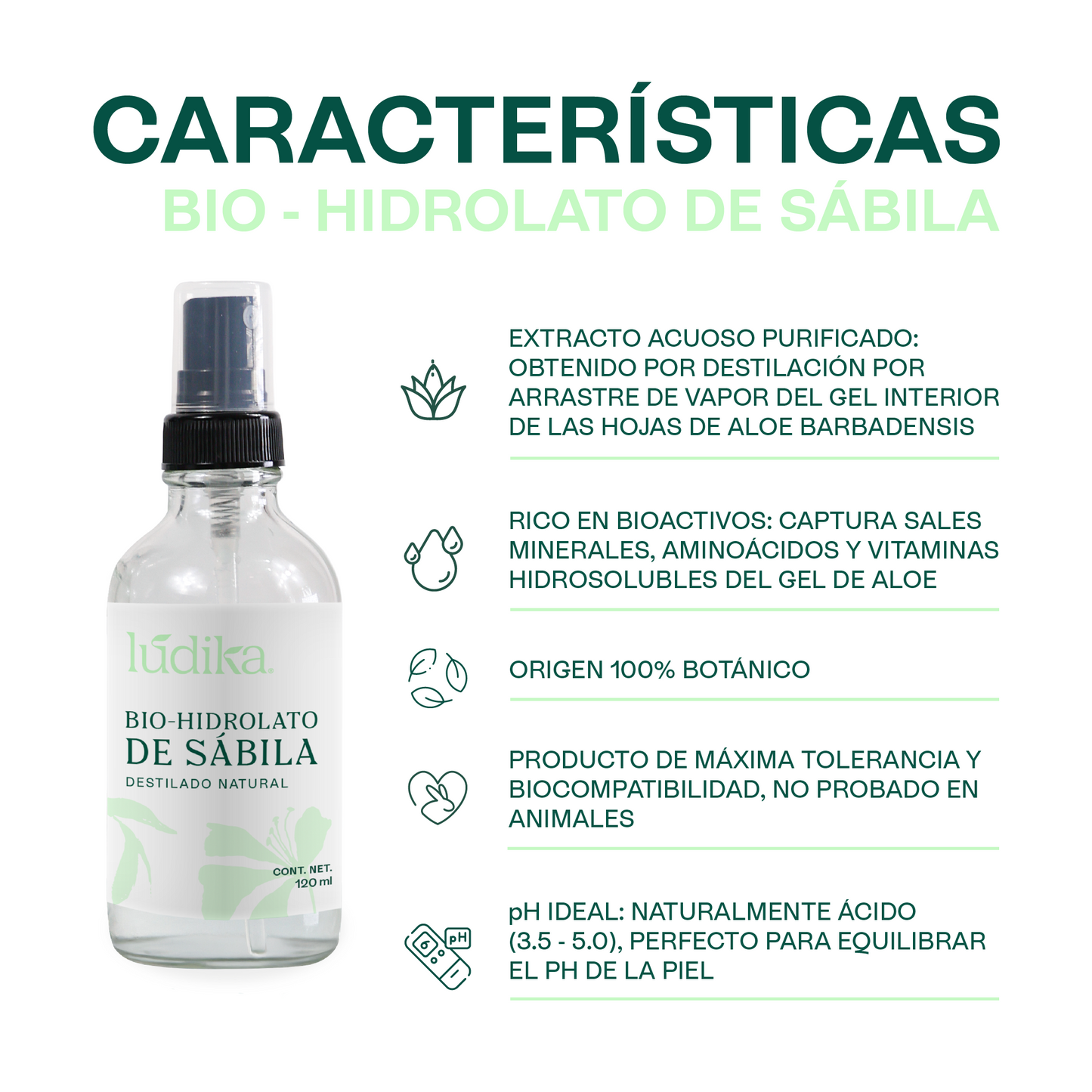 Bio Hidrolato de Sábila | Facial y Corporal | Hidratante, Calmante y Regenerador