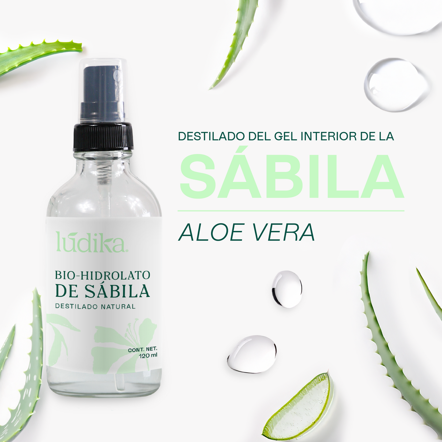 Bio Hidrolato de Sábila | Facial y Corporal | Hidratante, Calmante y Regenerador