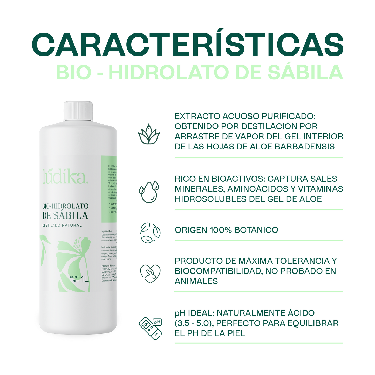 Bio Hidrolato de Sábila | Facial y Corporal | Hidratante, Calmante y Regenerador
