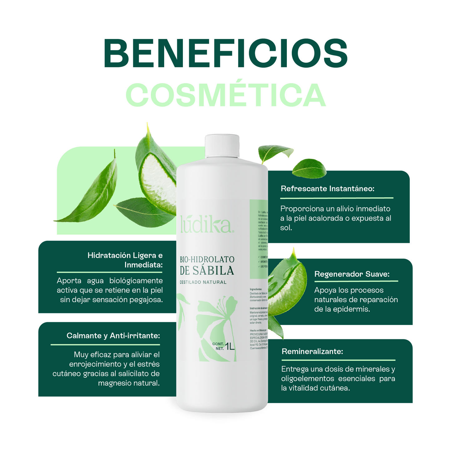 Bio Hidrolato de Sábila | Facial y Corporal | Hidratante, Calmante y Regenerador
