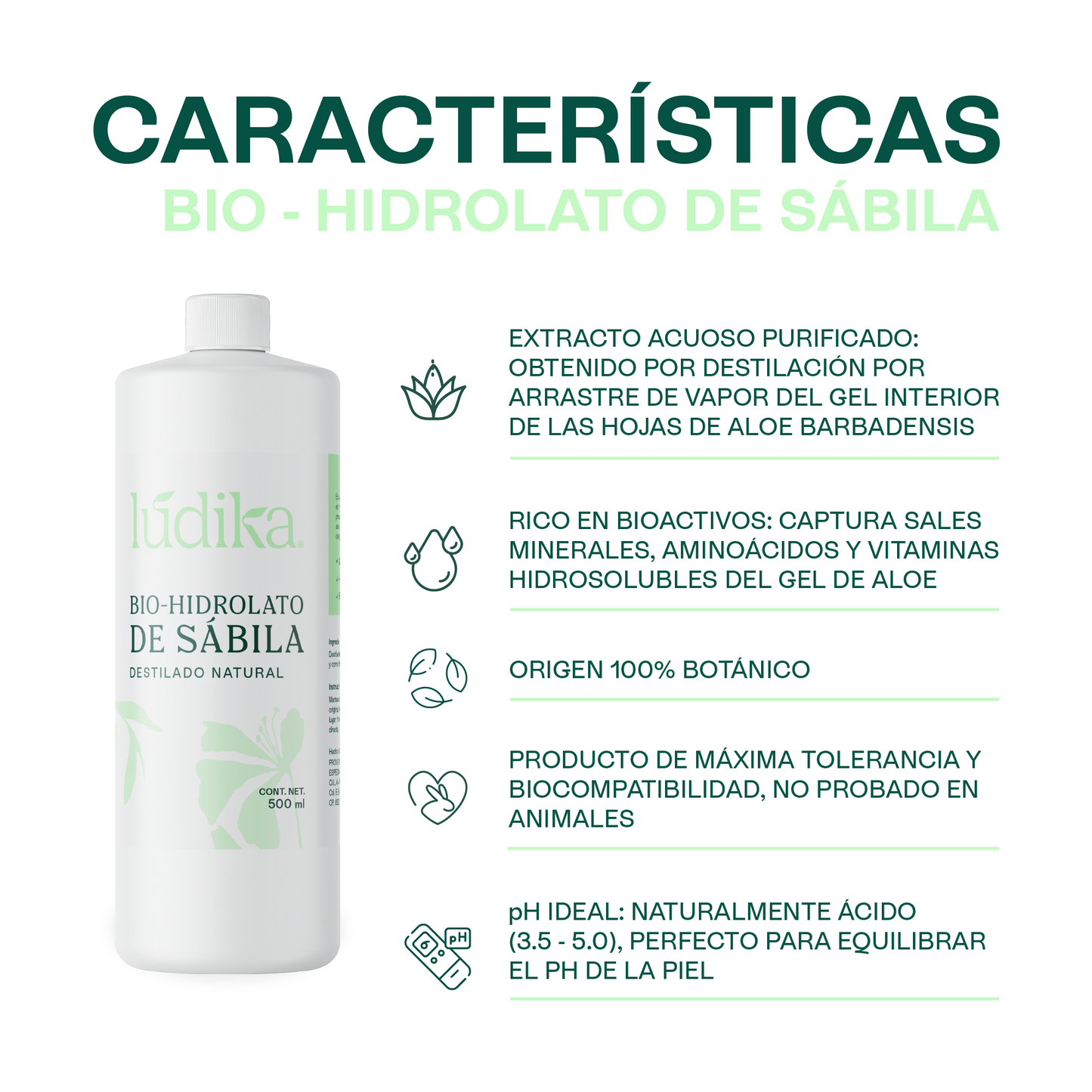 Bio Hidrolato de Sábila | Facial y Corporal | Hidratante, Calmante y Regenerador