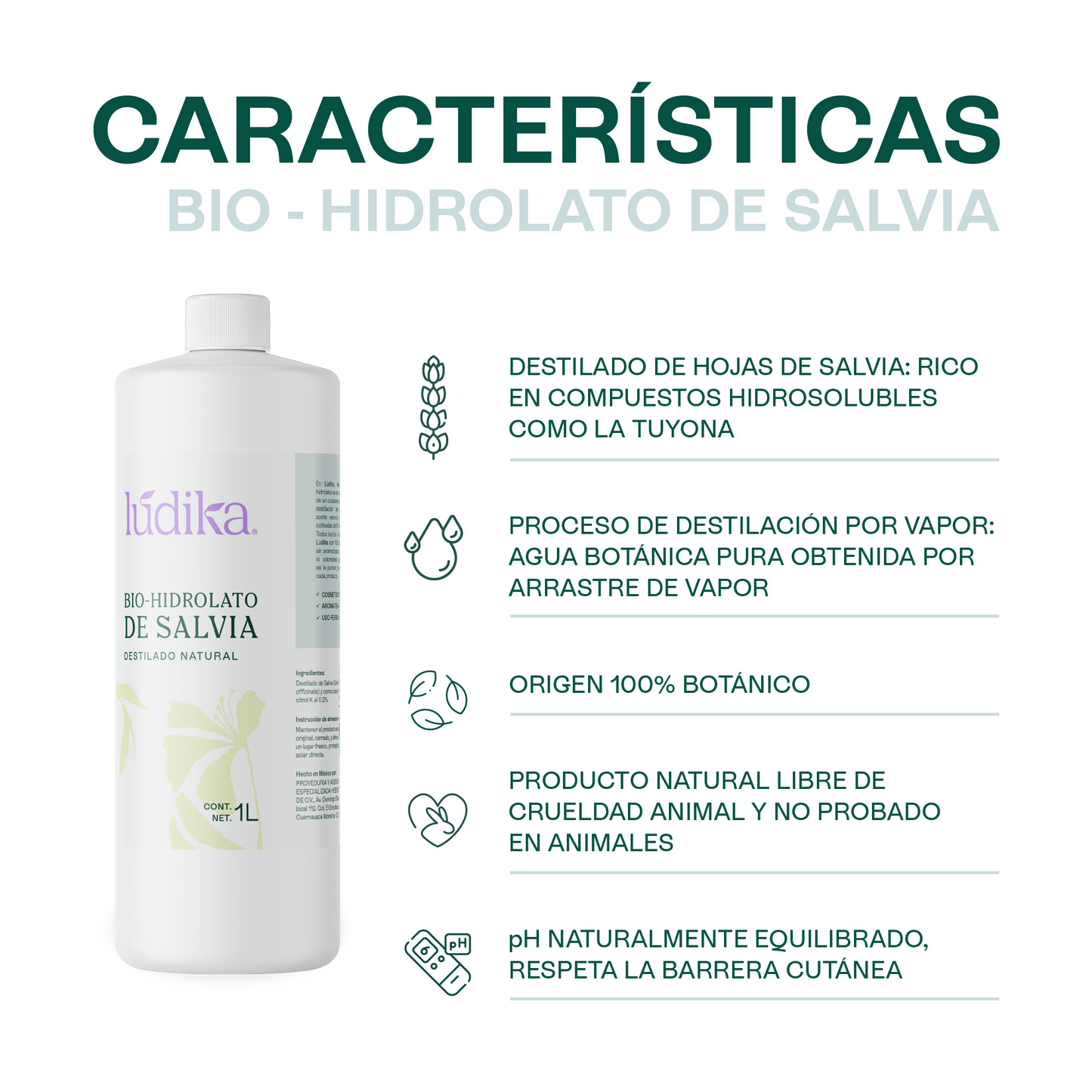 Hidrolato de Salvia | Facial y Corporal | Purificante, Seborregulador y Astringente
