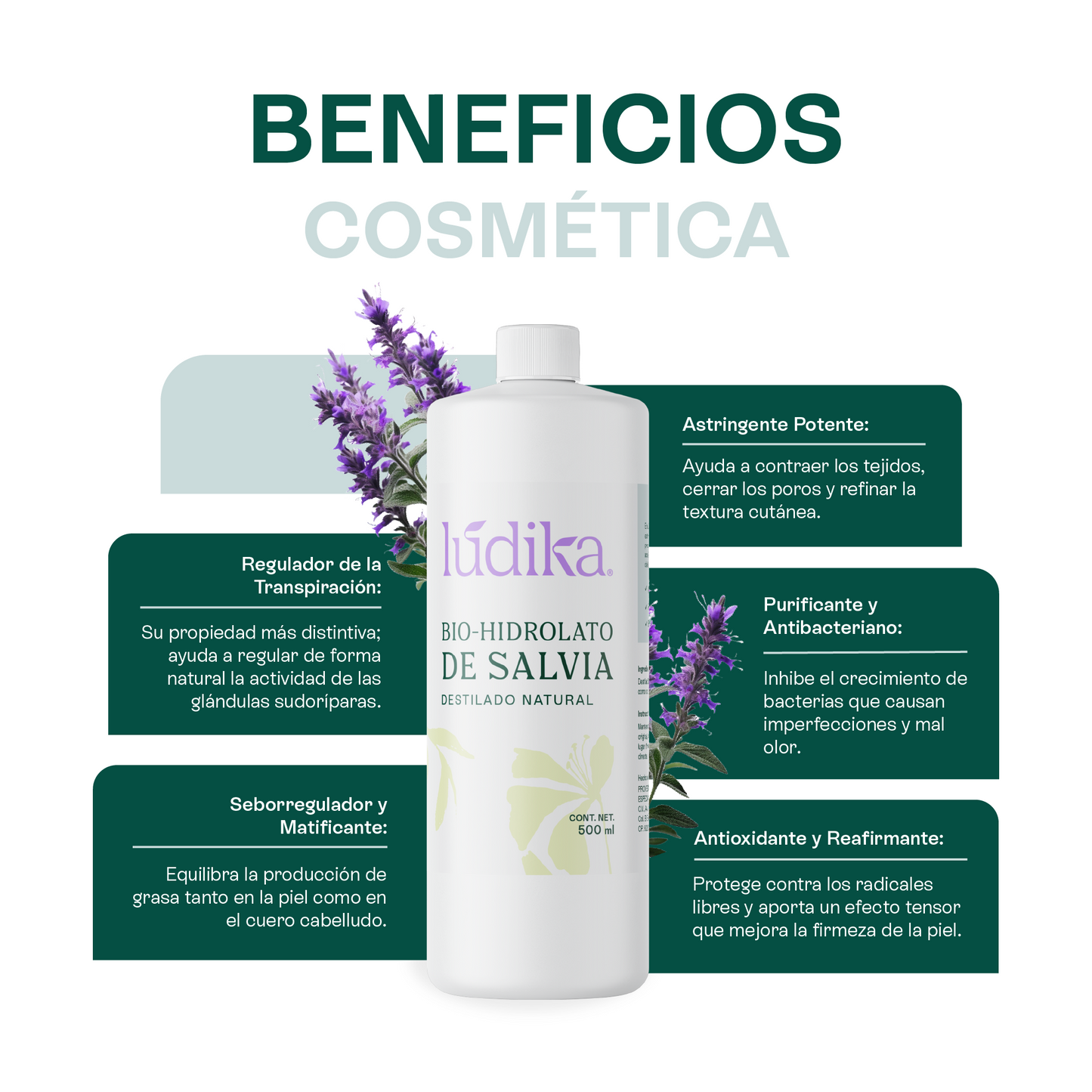 Hidrolato de Salvia | Facial y Corporal | Purificante, Seborregulador y Astringente