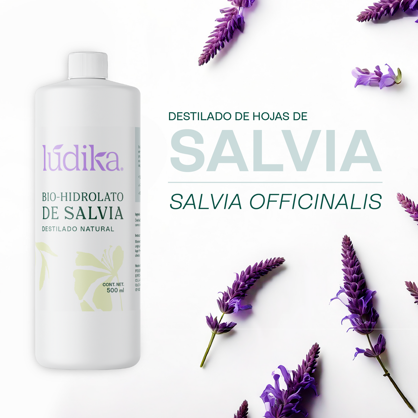 Hidrolato de Salvia | Facial y Corporal | Purificante, Seborregulador y Astringente