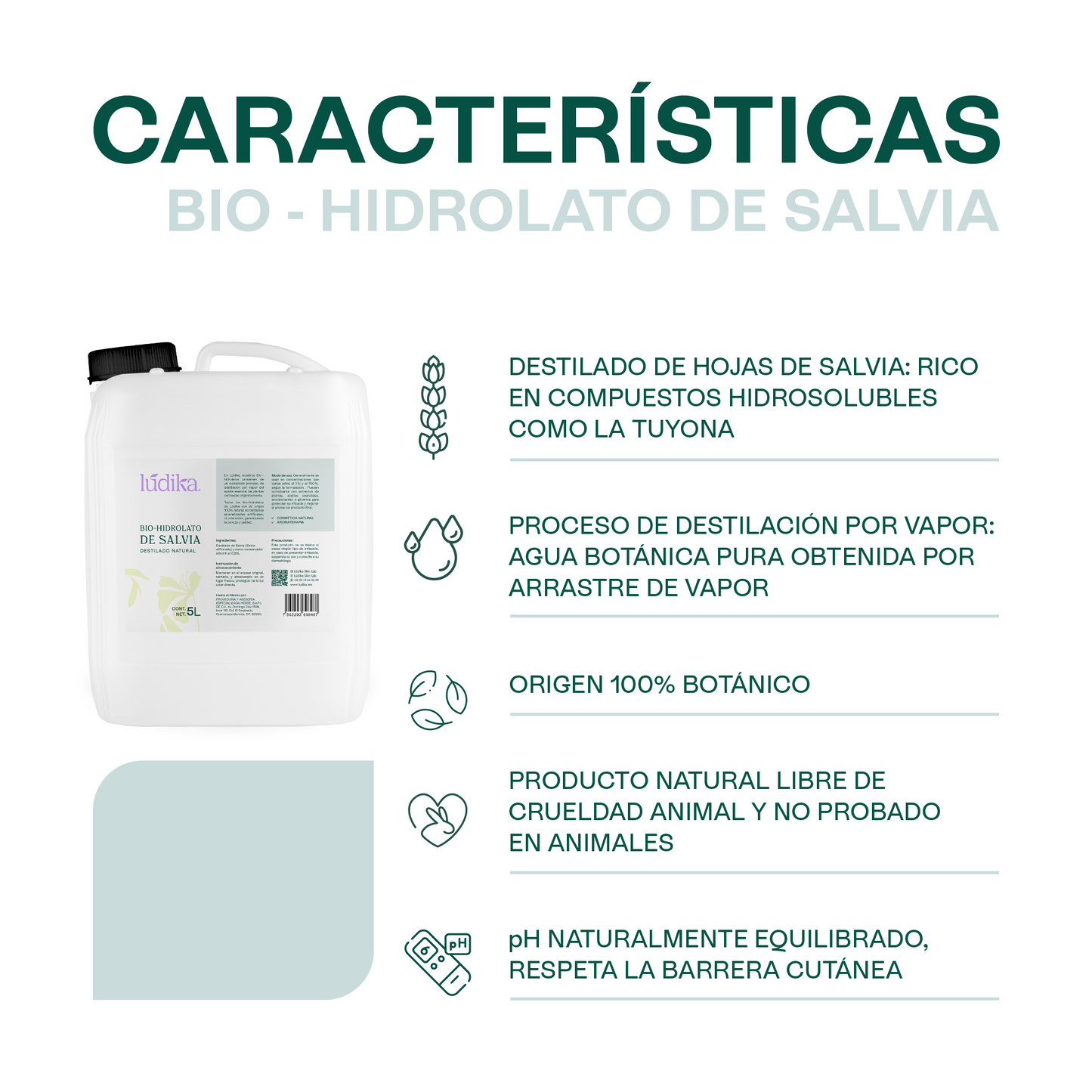 Hidrolato de Salvia | Facial y Corporal | Purificante, Seborregulador y Astringente