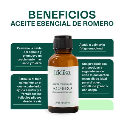 Kit Aceites Esenciales de Lavanda, Menta, Romero | Facial, Spa y Aromaterapia | Calmante, Estimulante y Equilibrante para Piel, Cabello y Mente