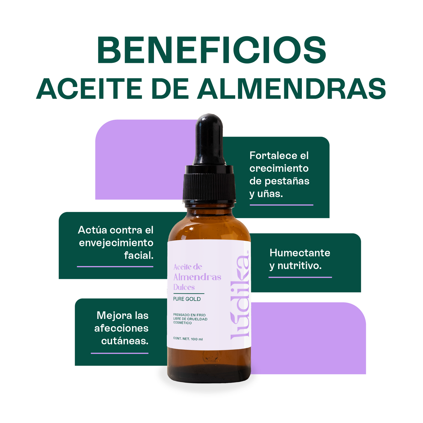Kit de 4 Aceites Puros | Ricino, Rosa Mosqueta, Argán, Almendras | Antiedad, Fortalecimiento e Hidratación para Piel y Cabello
