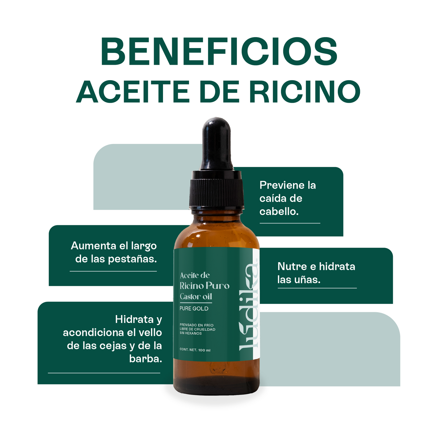 Kit de 4 Aceites Puros | Ricino, Rosa Mosqueta, Argán, Almendras | Antiedad, Fortalecimiento e Hidratación para Piel y Cabello