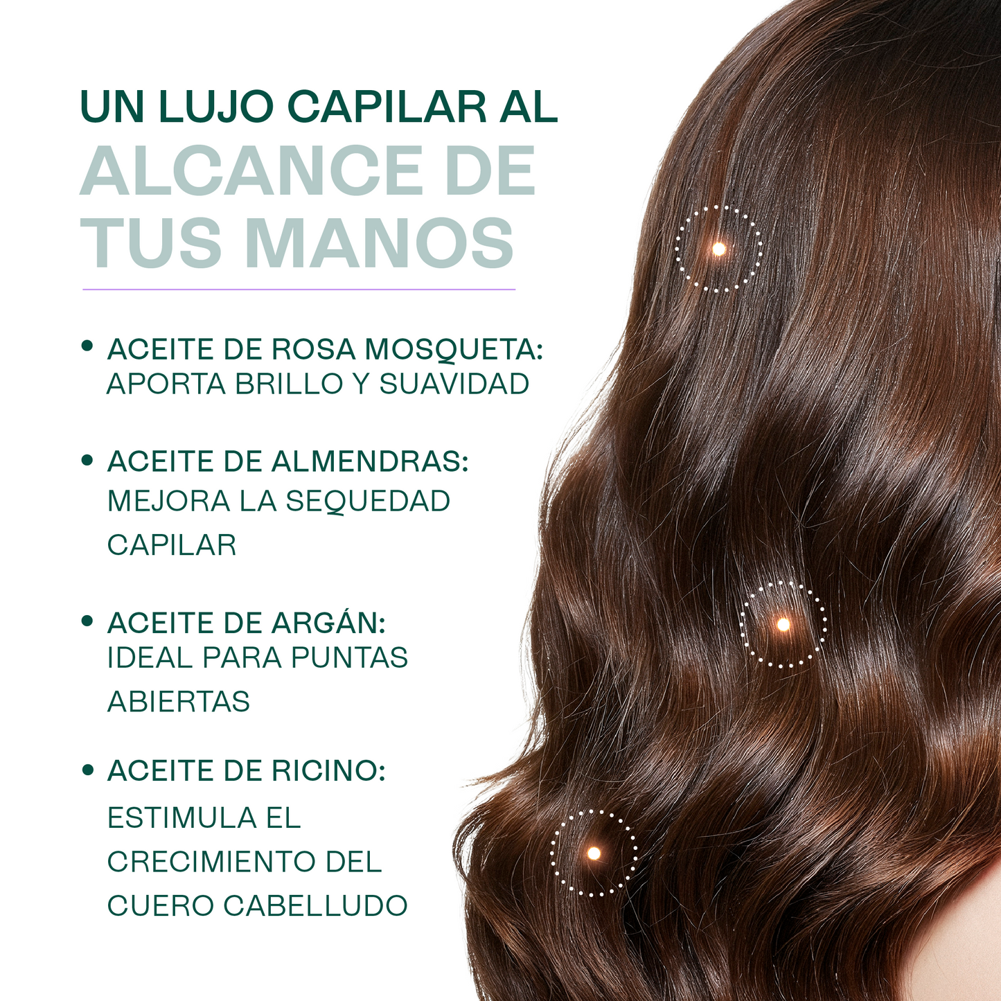Kit de 4 Aceites Puros | Ricino, Rosa Mosqueta, Argán, Almendras | Antiedad, Fortalecimiento e Hidratación para Piel y Cabello