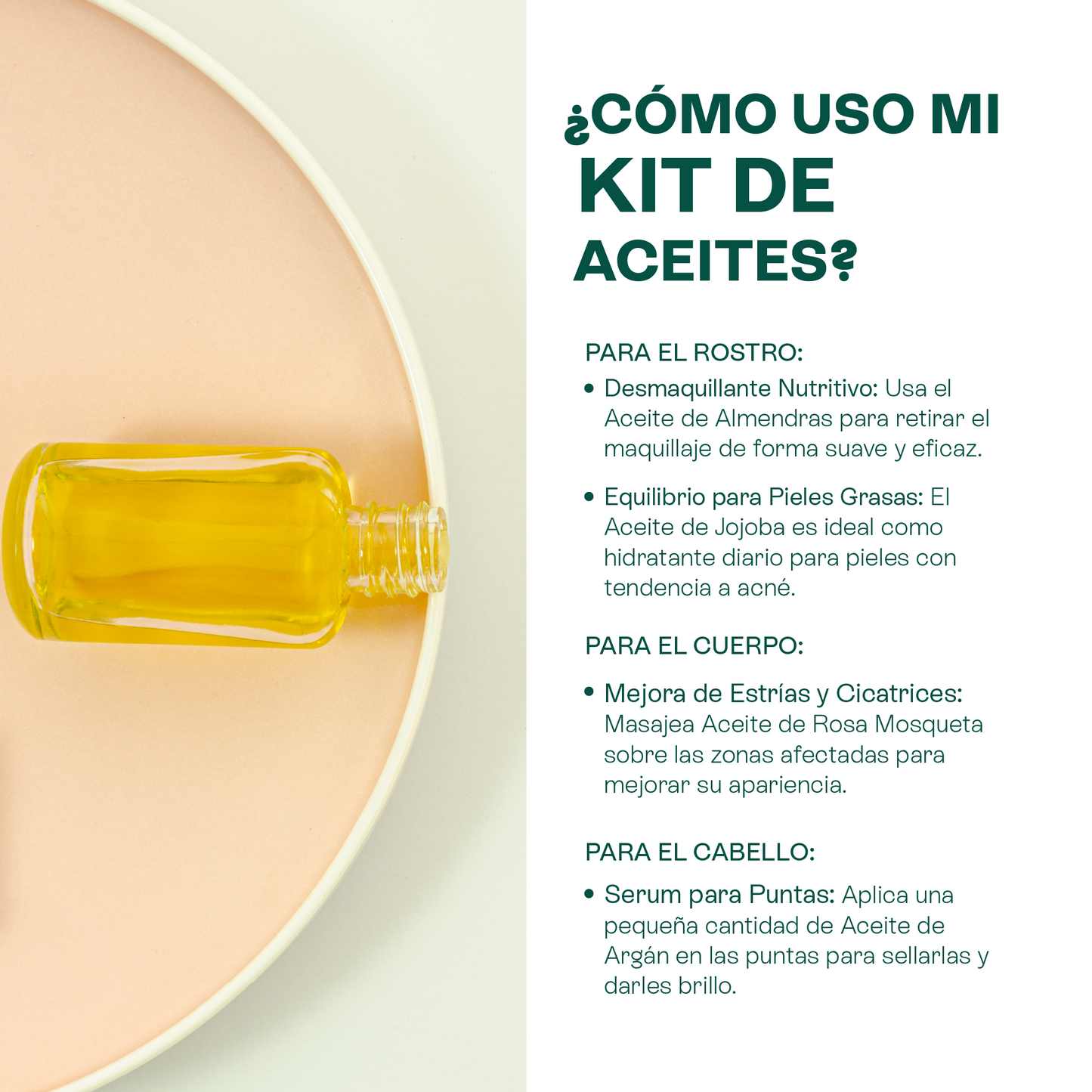Kit de 5 Aceites Puros | Ricino, Argán, Almendras, Rosa Mosqueta, Jojoba | Antiedad, Fortalecimiento e Hidratación para Piel y Cabello