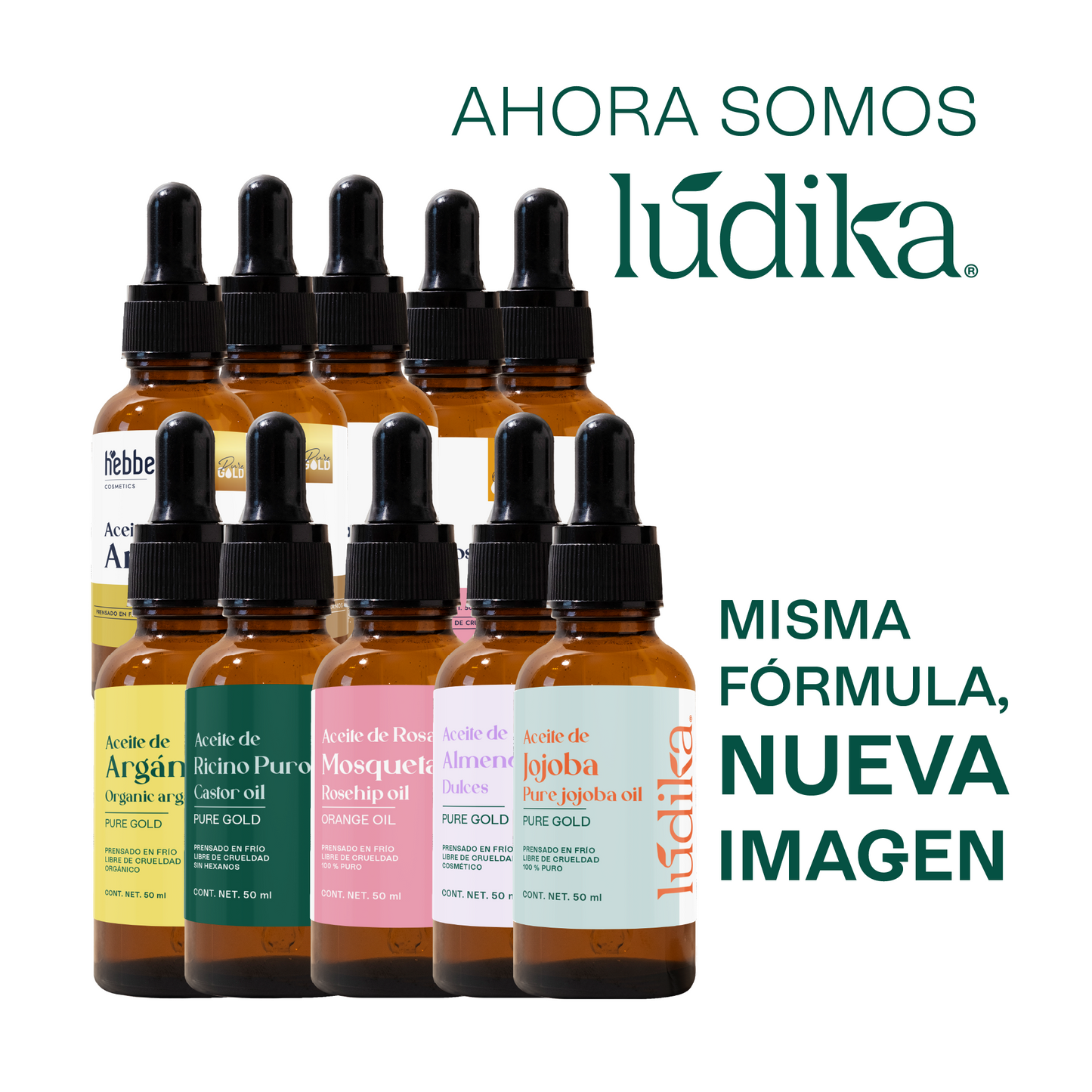 Kit de 5 Aceites Puros | Ricino, Argán, Almendras, Rosa Mosqueta, Jojoba | Antiedad, Fortalecimiento e Hidratación para Piel y Cabello