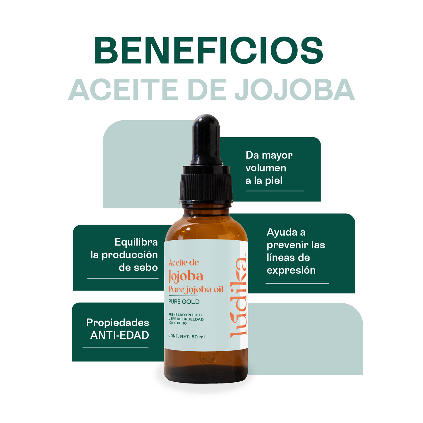 Kit de 5 Aceites Puros | Ricino, Argán, Almendras, Rosa Mosqueta, Jojoba | Antiedad, Fortalecimiento e Hidratación para Piel y Cabello