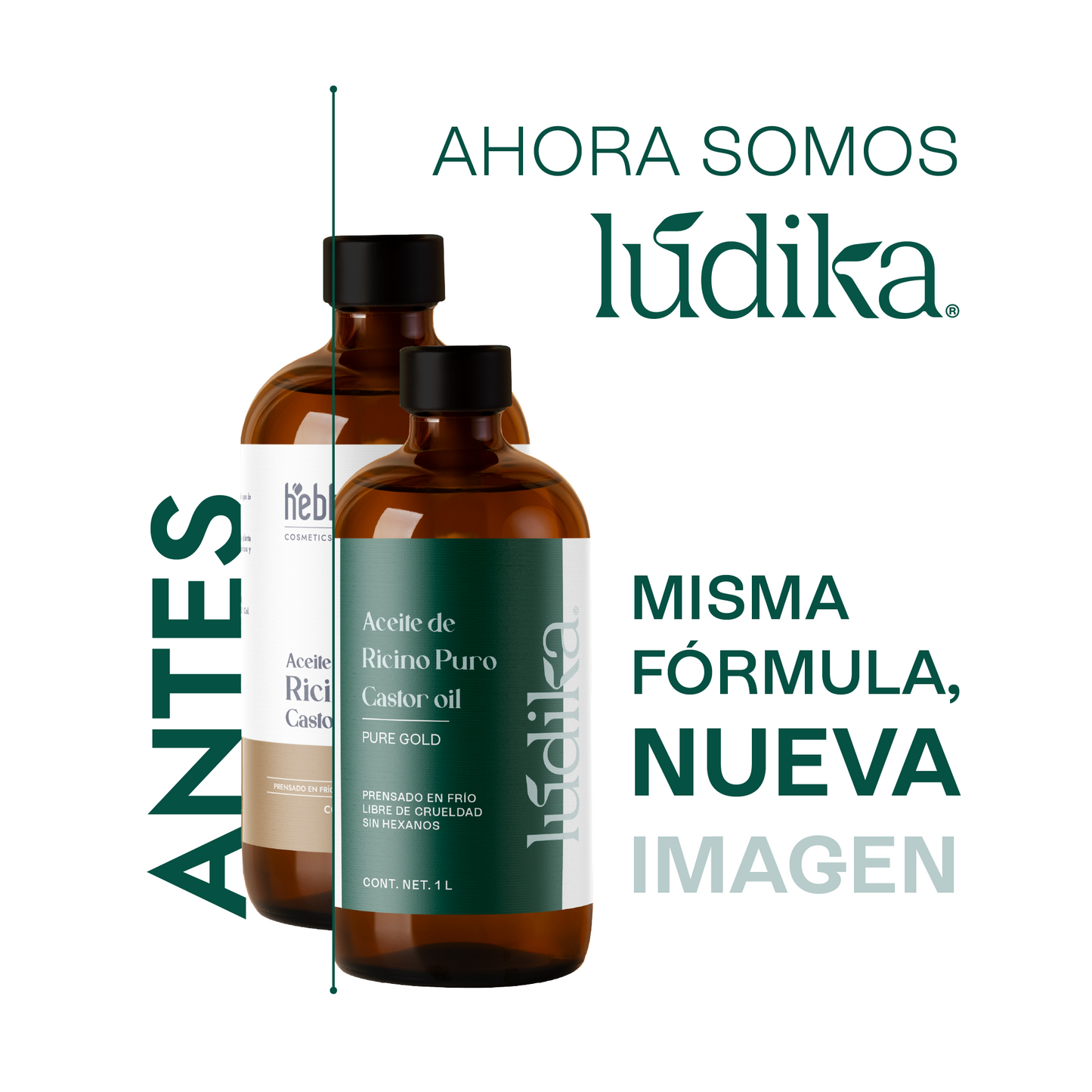Kit Profesional de Aceite de Ricino | 5 Litros para Fortalecimiento Capilar, Hidratación y Usos Terapéuticos