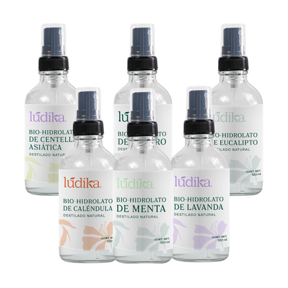 Kit 6 Hidrolatos en Spray 120 m | Esencia Floral Pura para Revitalizar y Calmar Piel y Cabello A elegir