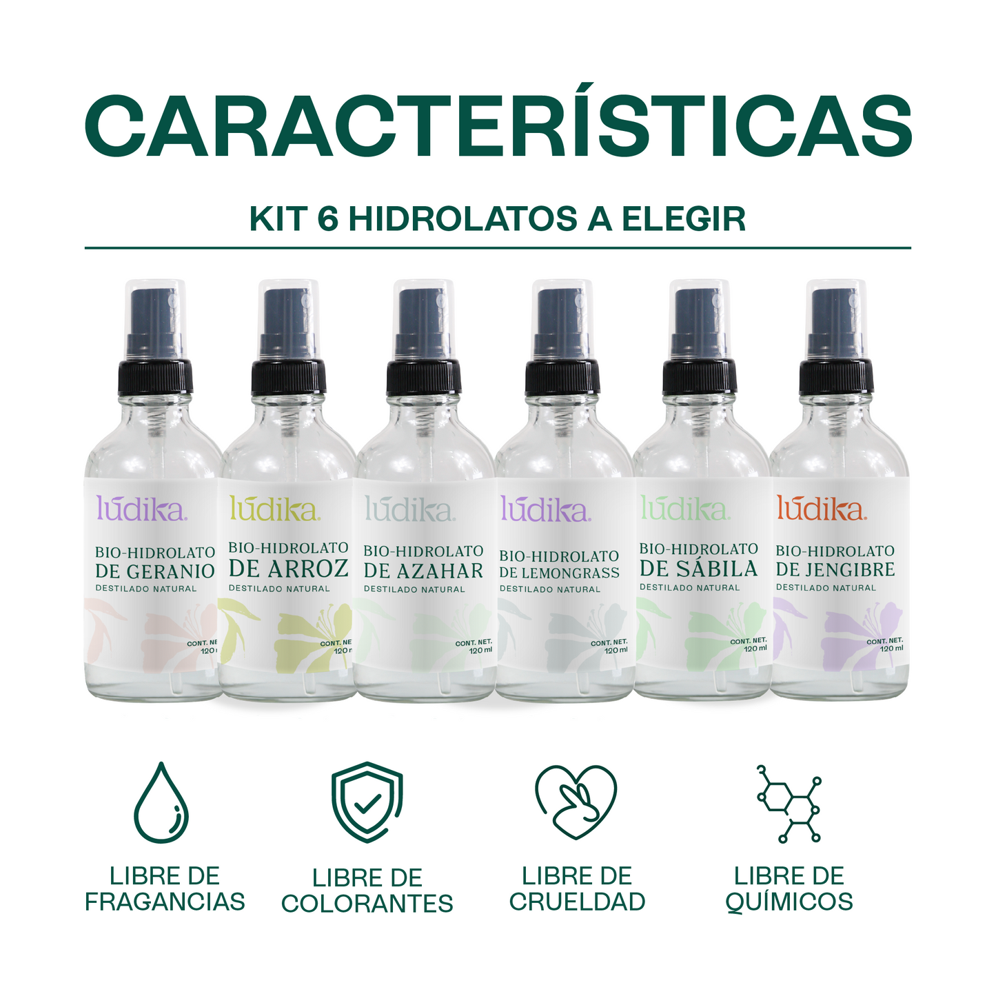 Kit 6 Hidrolatos en Spray 120 m | Esencia Floral Pura para Revitalizar y Calmar Piel y Cabello A elegir